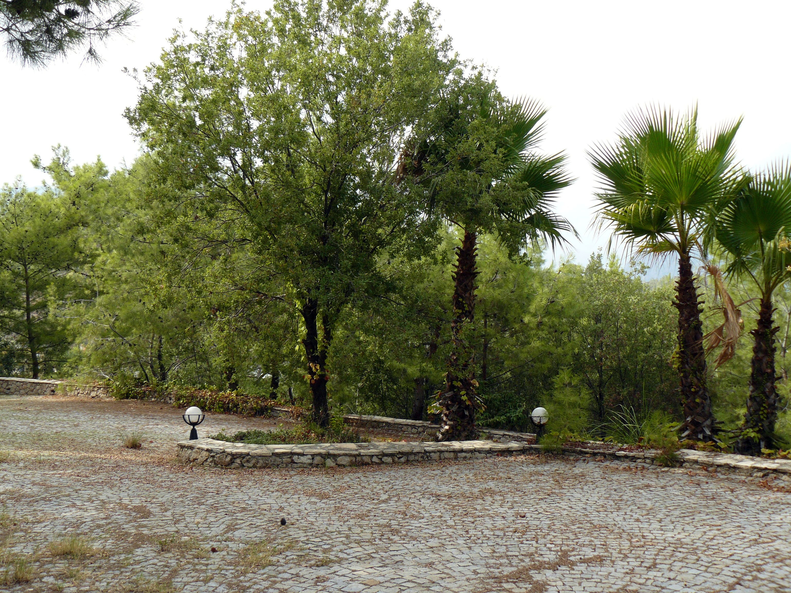 Кемер, Чамьюва 2008. Избранные фотографии