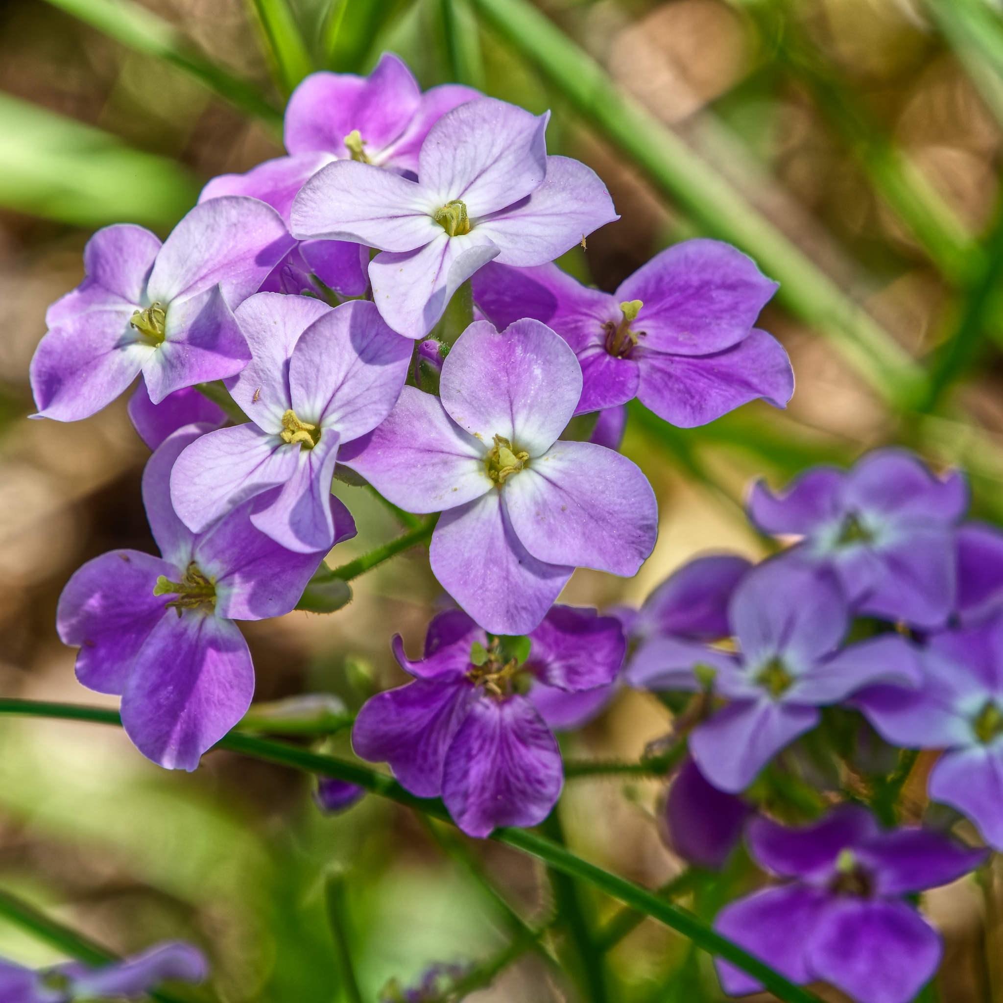 Боровое 2024 (из архива). Избранные фотографии