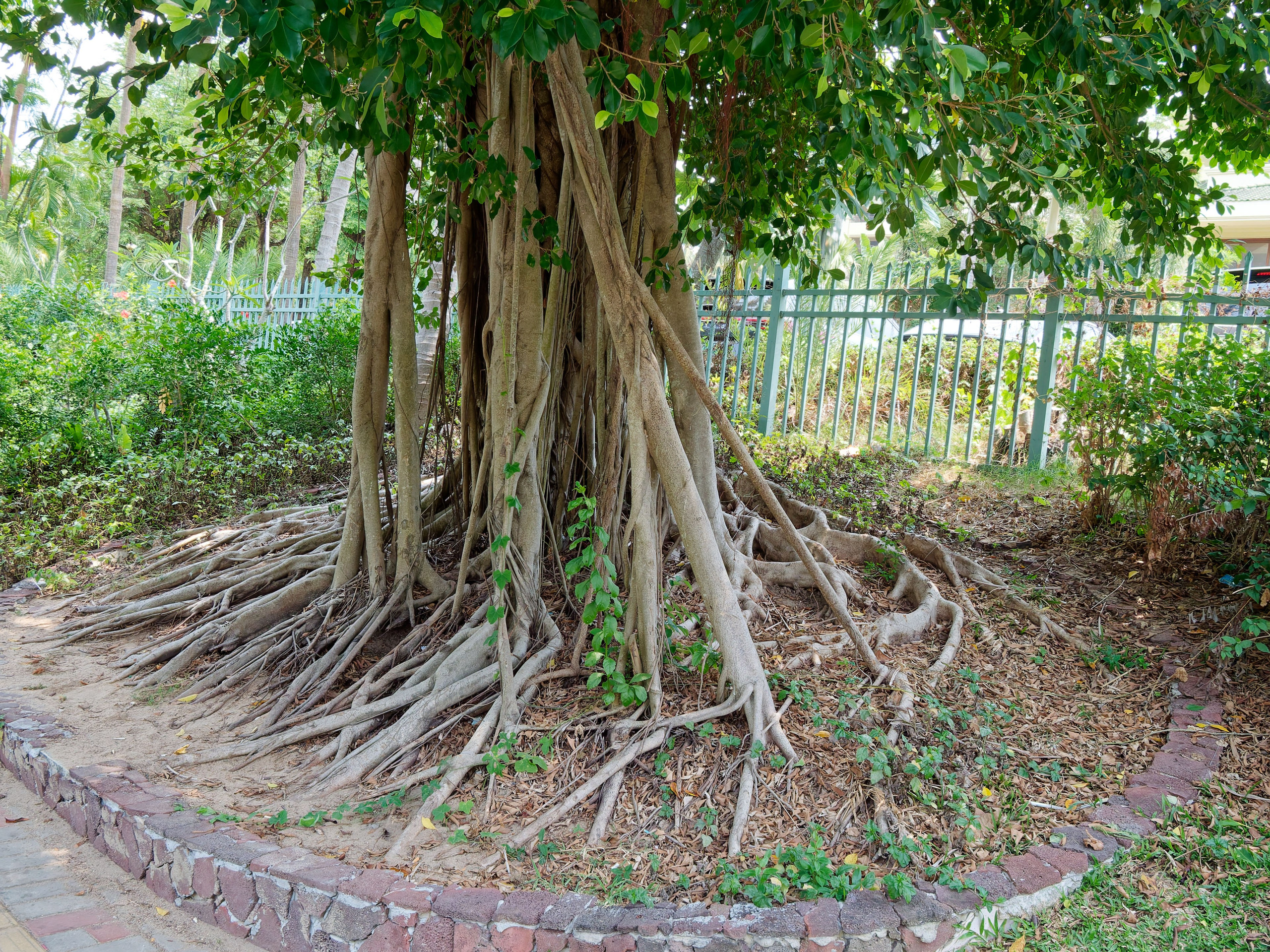 Хайнань 2026, улицы Ялунвань и Саньи. Фотопрогулки по Миру