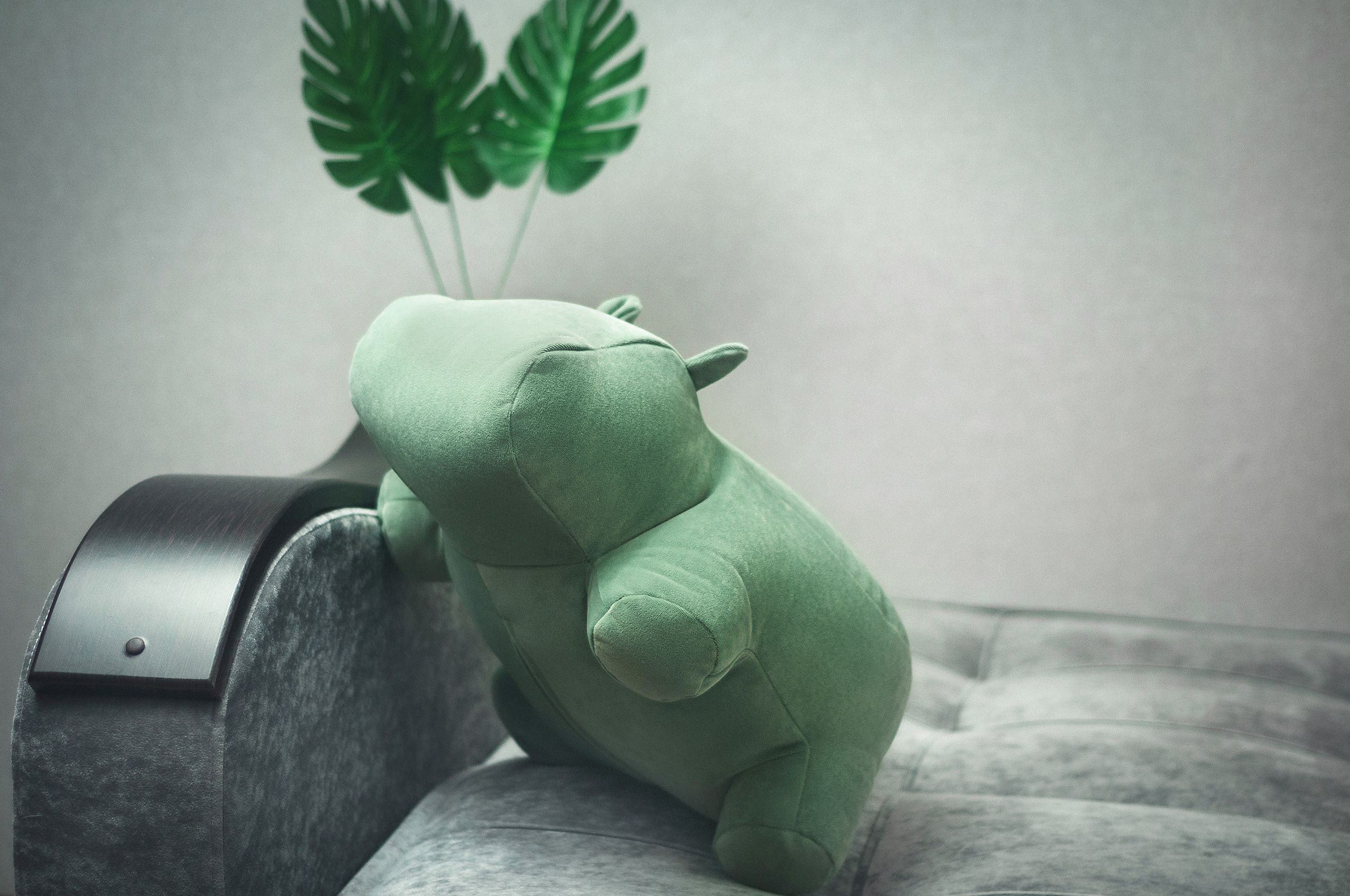 ПРЕДМЕТКА. PH.DANILUX