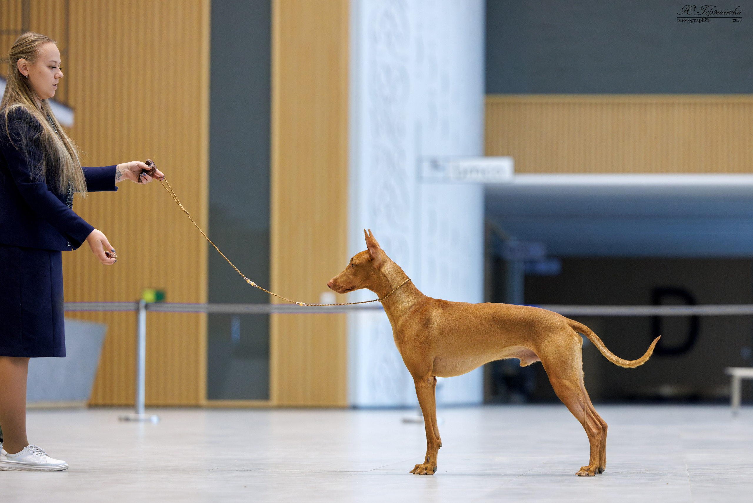 Астана 2хCACIB 3-4.05.2025. Фотограф-анималист Юлия Германика