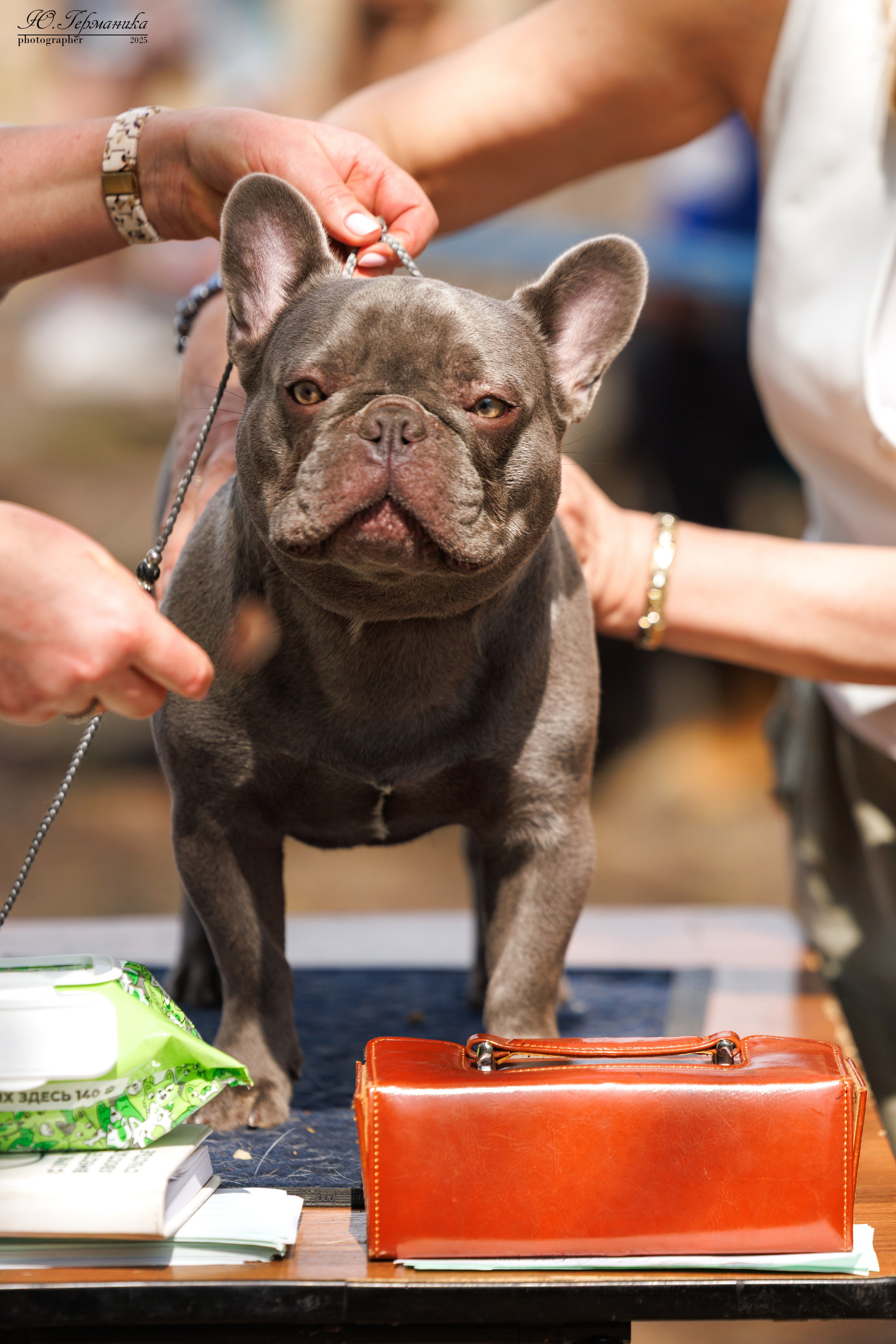 Тверь 24.05.2025. Фотограф-анималист Юлия Германика