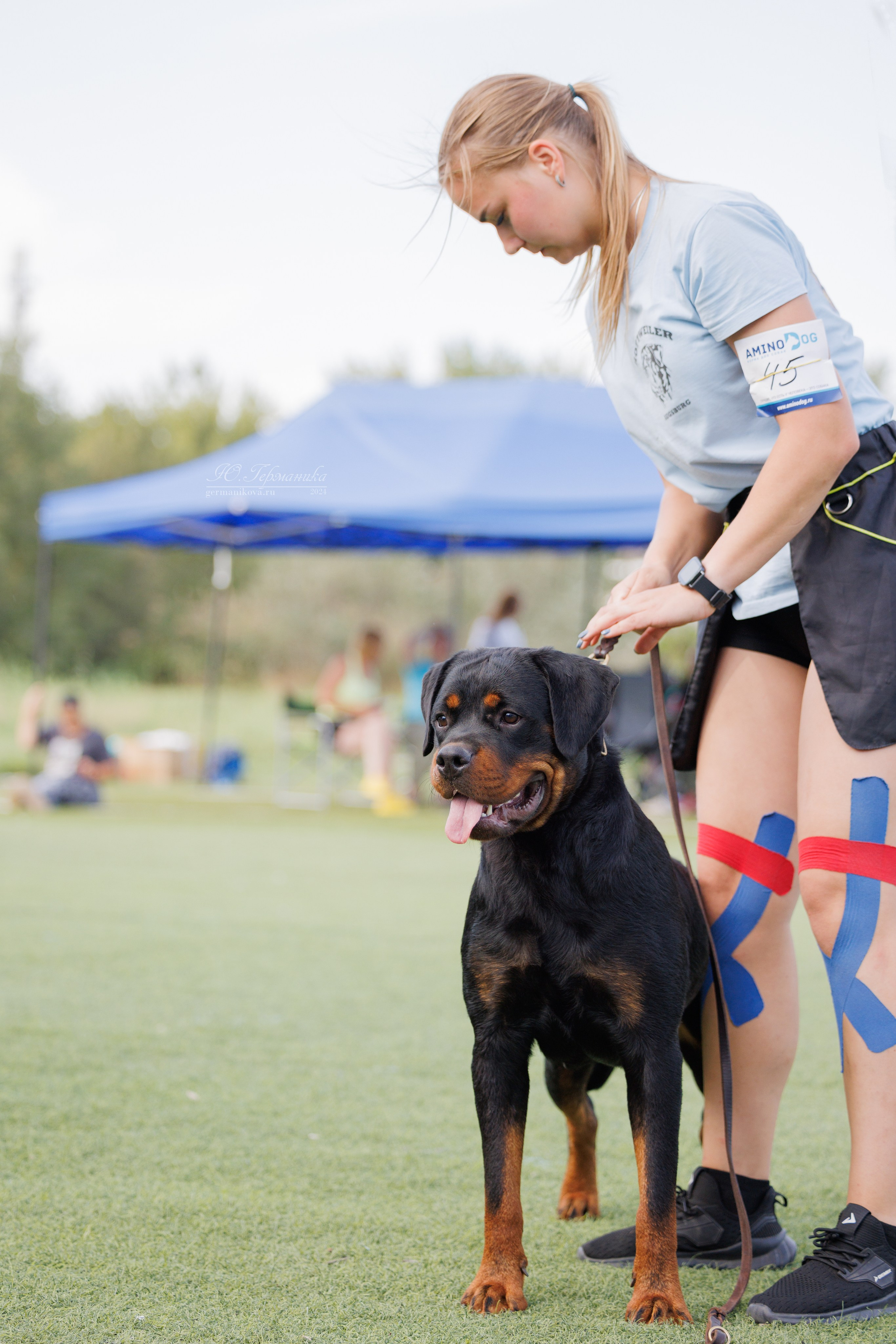 Анапа ротвейлеры 14-15.09.2024. Фотограф-анималист Юлия Германика