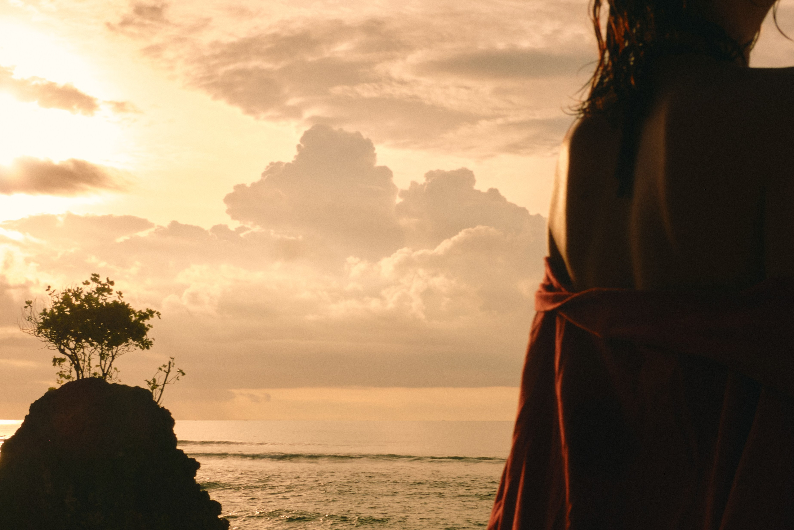 Катя. Виолетта Скрипка