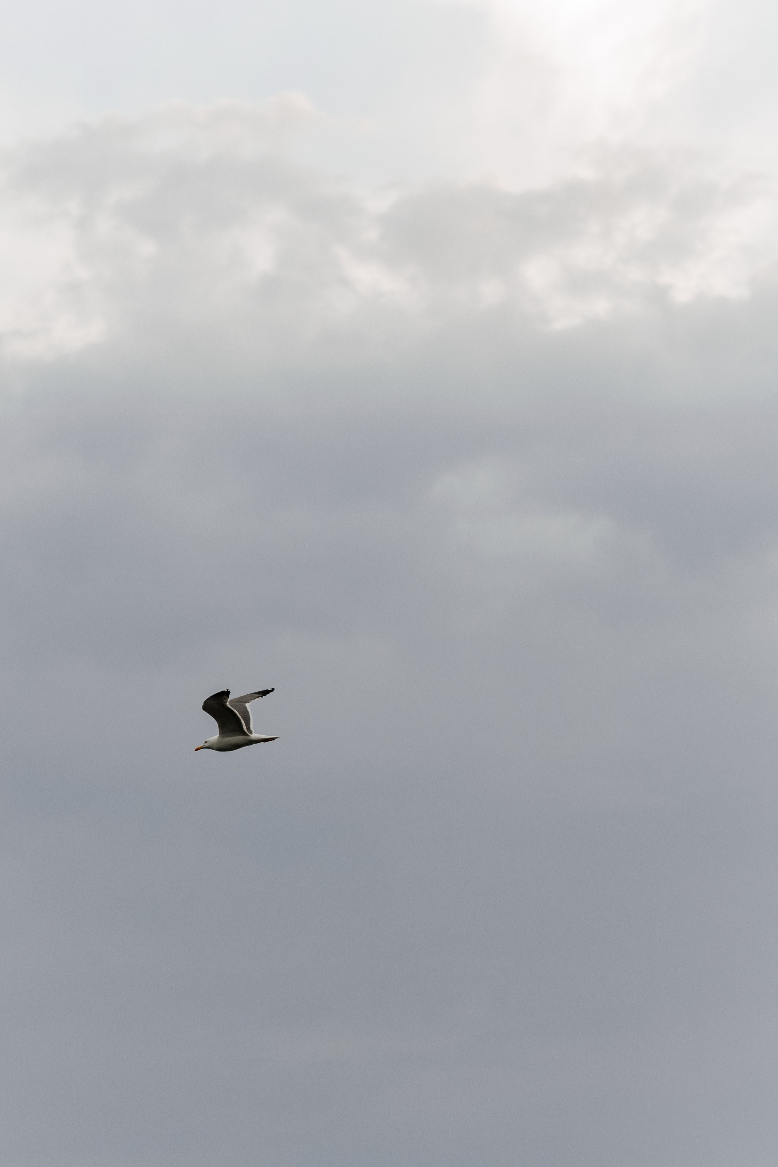 В один красивый вечер. Свадебный и семейный фотограф в Магнитогорске Катя Буряк