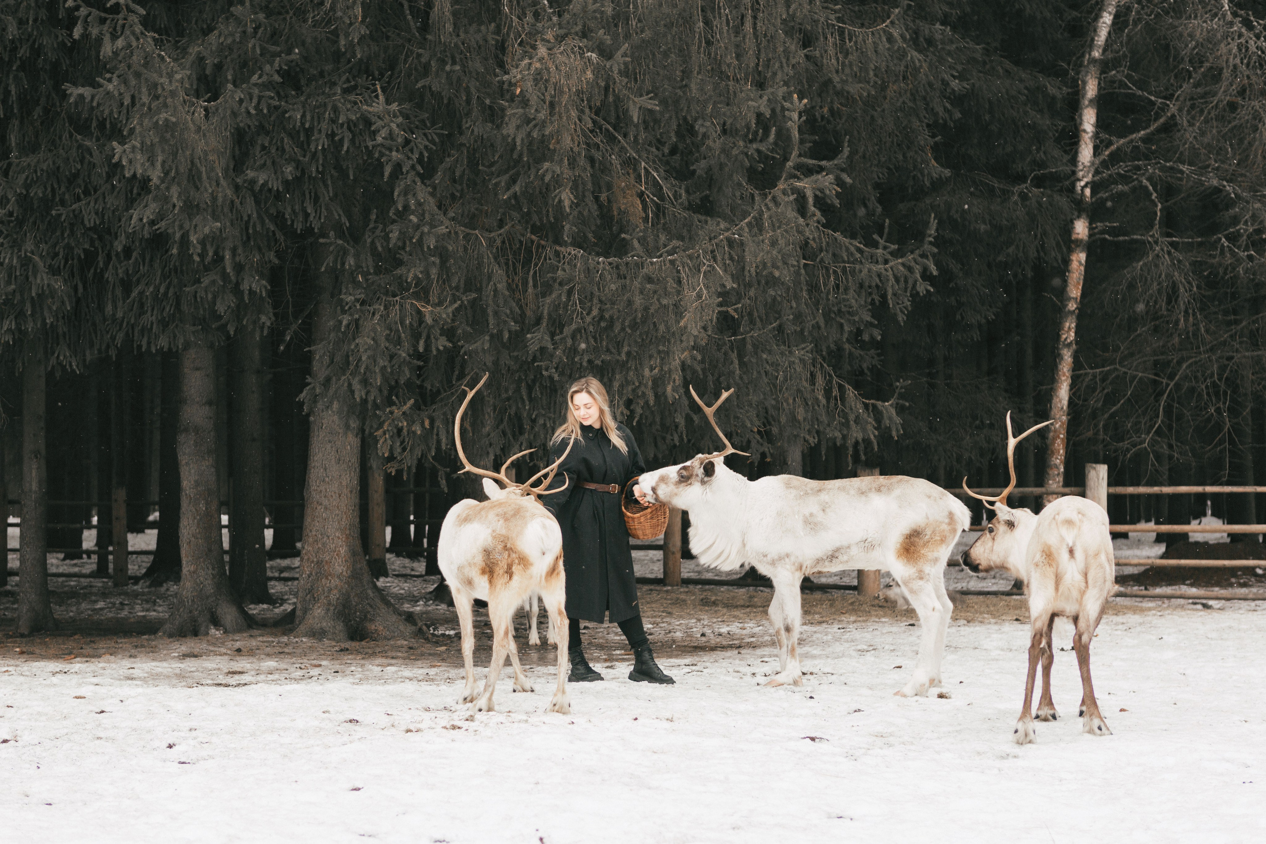Вероника. Свадебный и семейный фотограф Анастасия Багрец