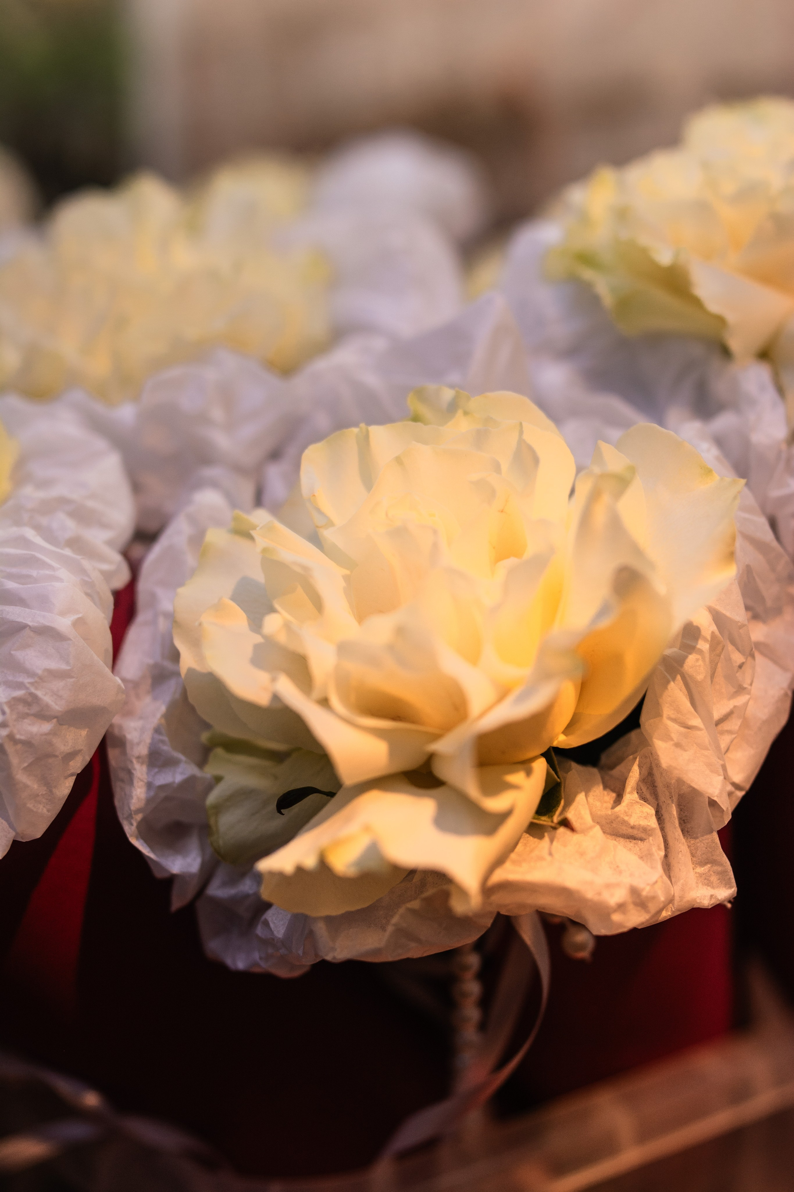 МК Барокко. Фотограф в Москве Ангелина Ким