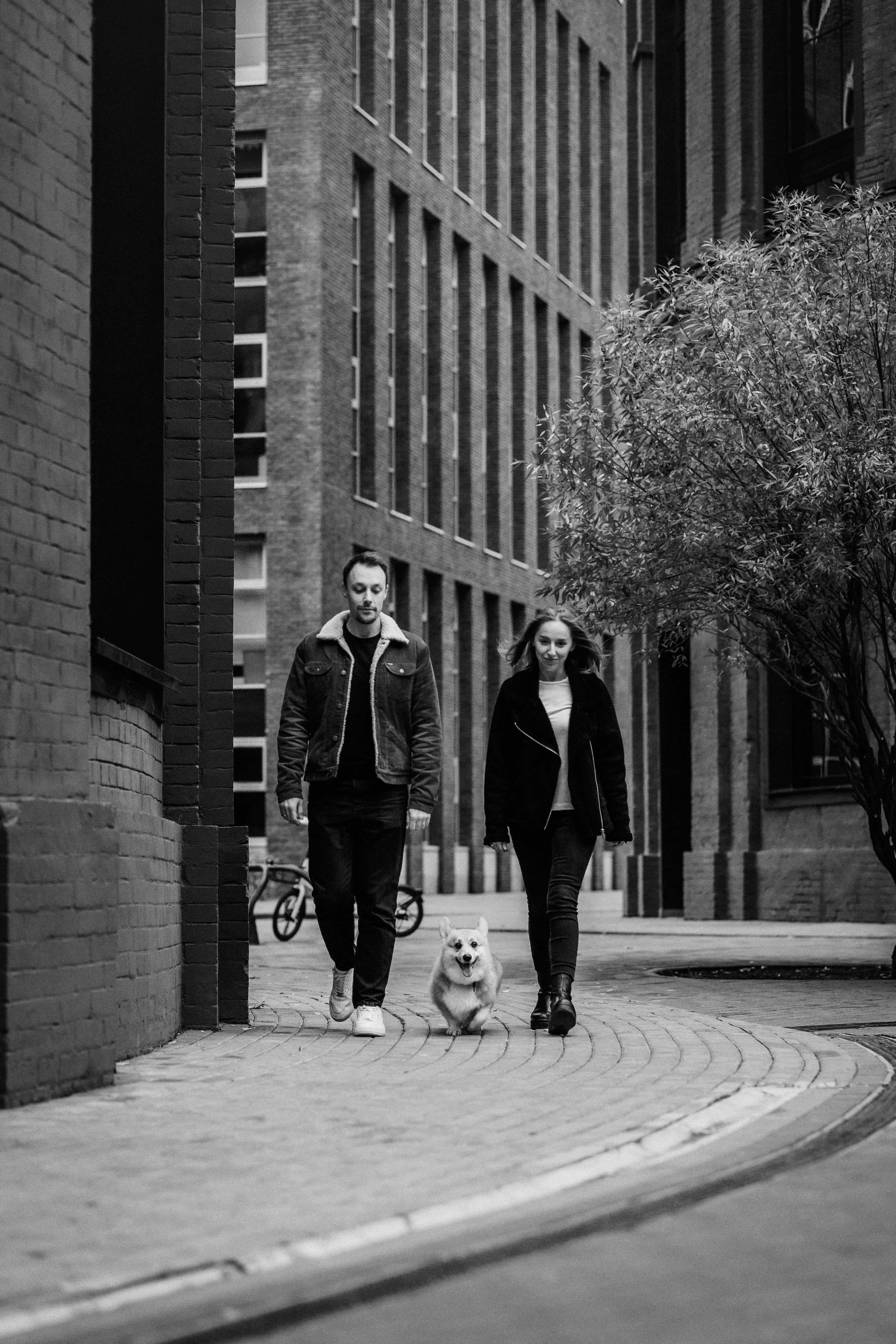 Вера, Саша и Муна. Фотограф-анималист Елена Радченко, Москва