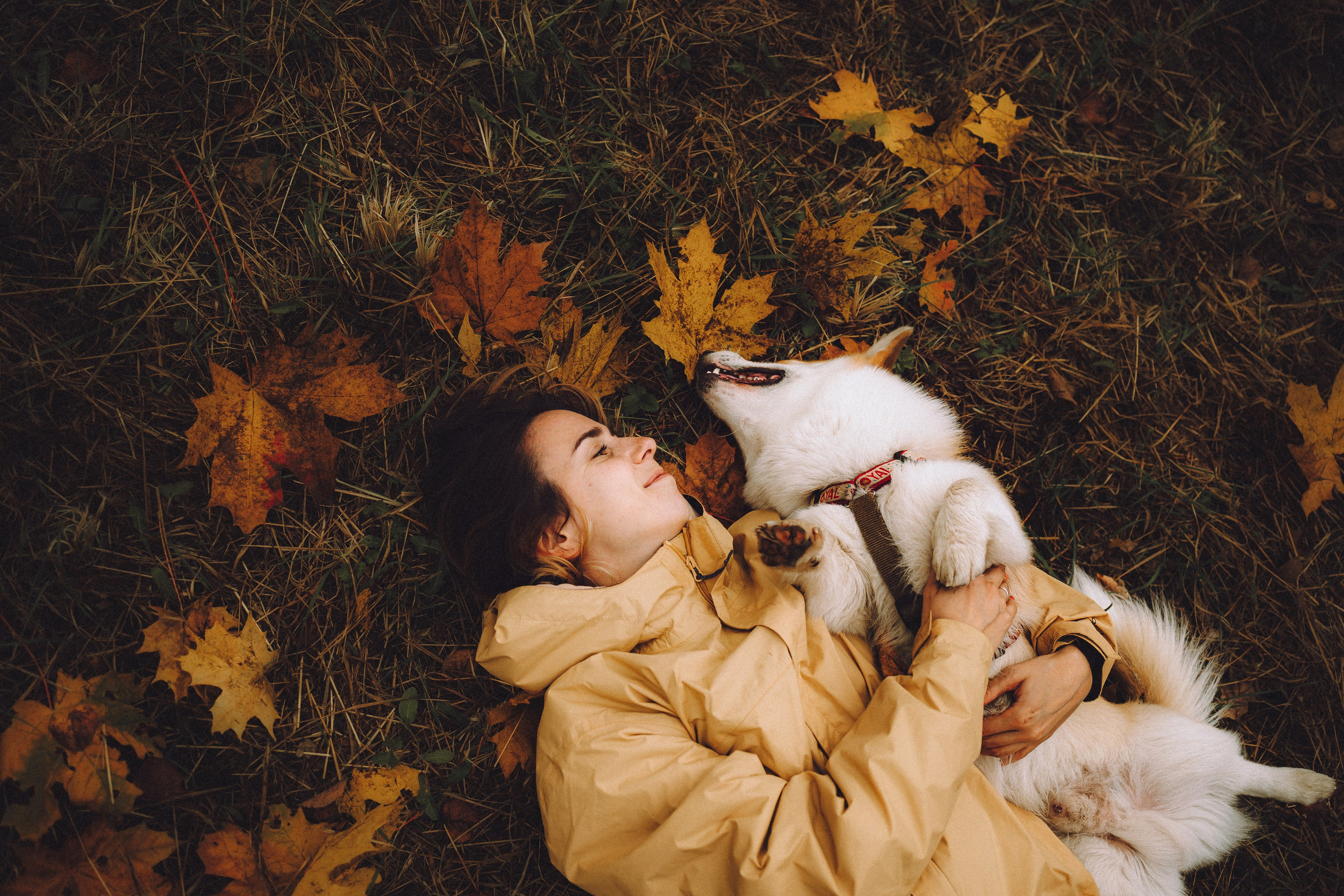 Вирджик и его семья