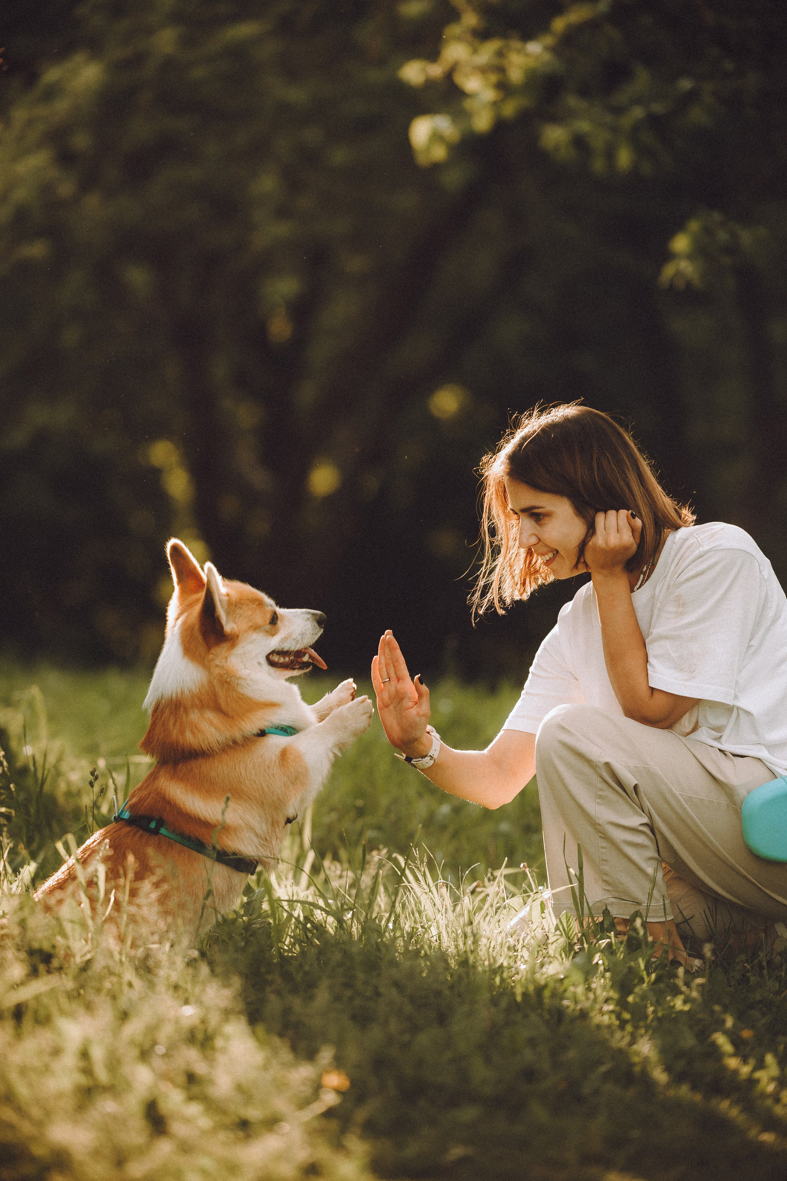 Вирджик и его семья