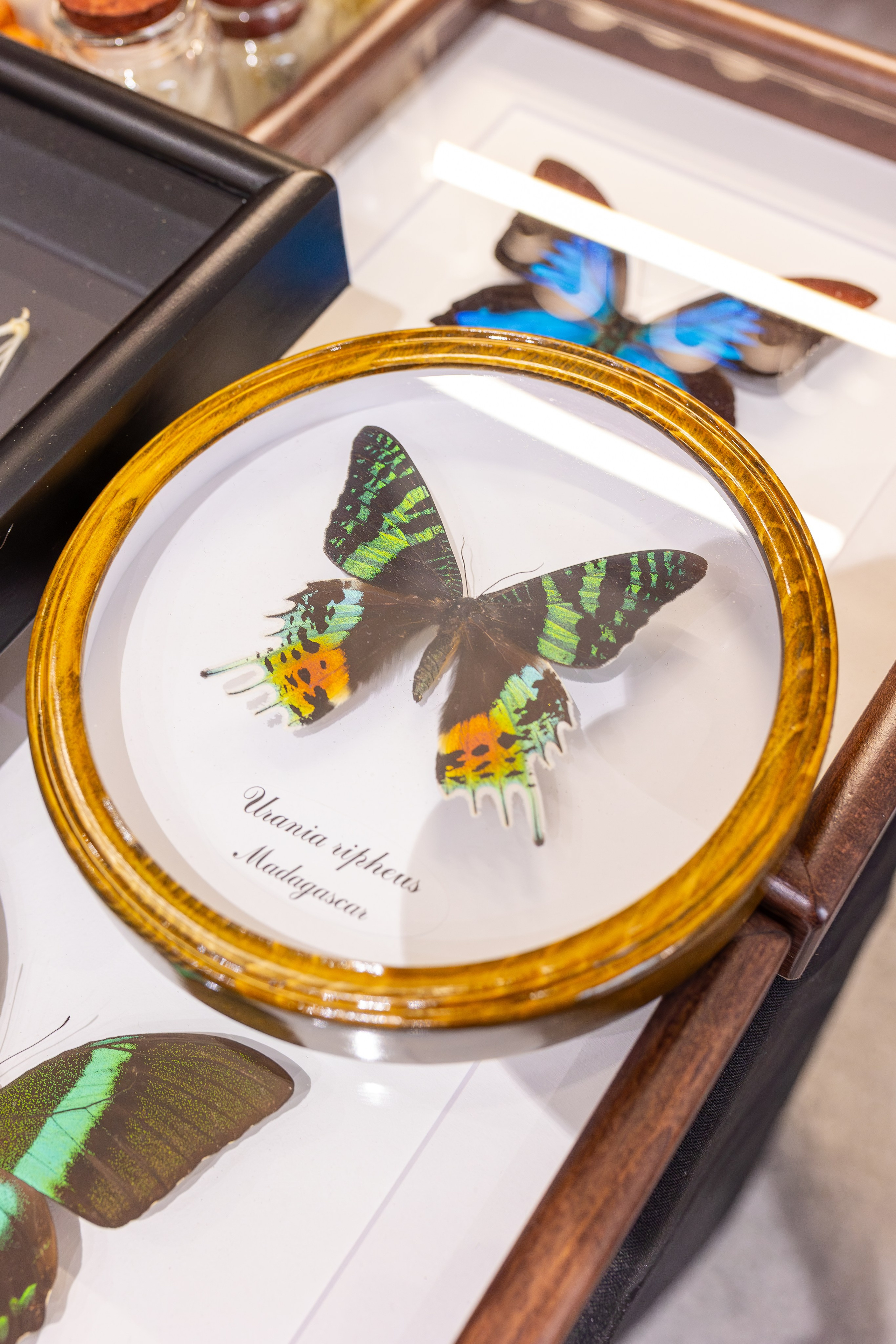 Монстериум 11–12 октября. Александра Куликова фотограф, Москва