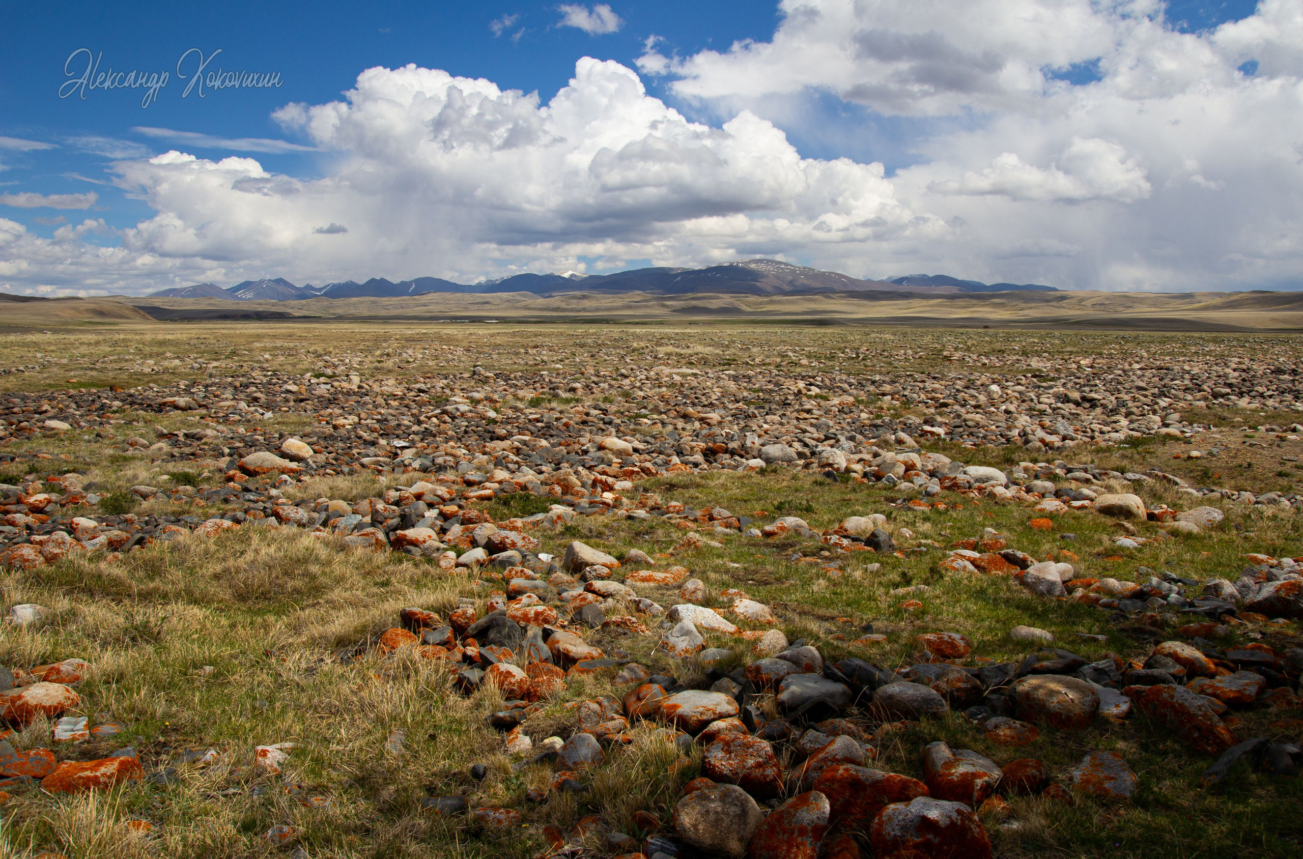 Природный пейзаж. Фотограф Александр Коковихин