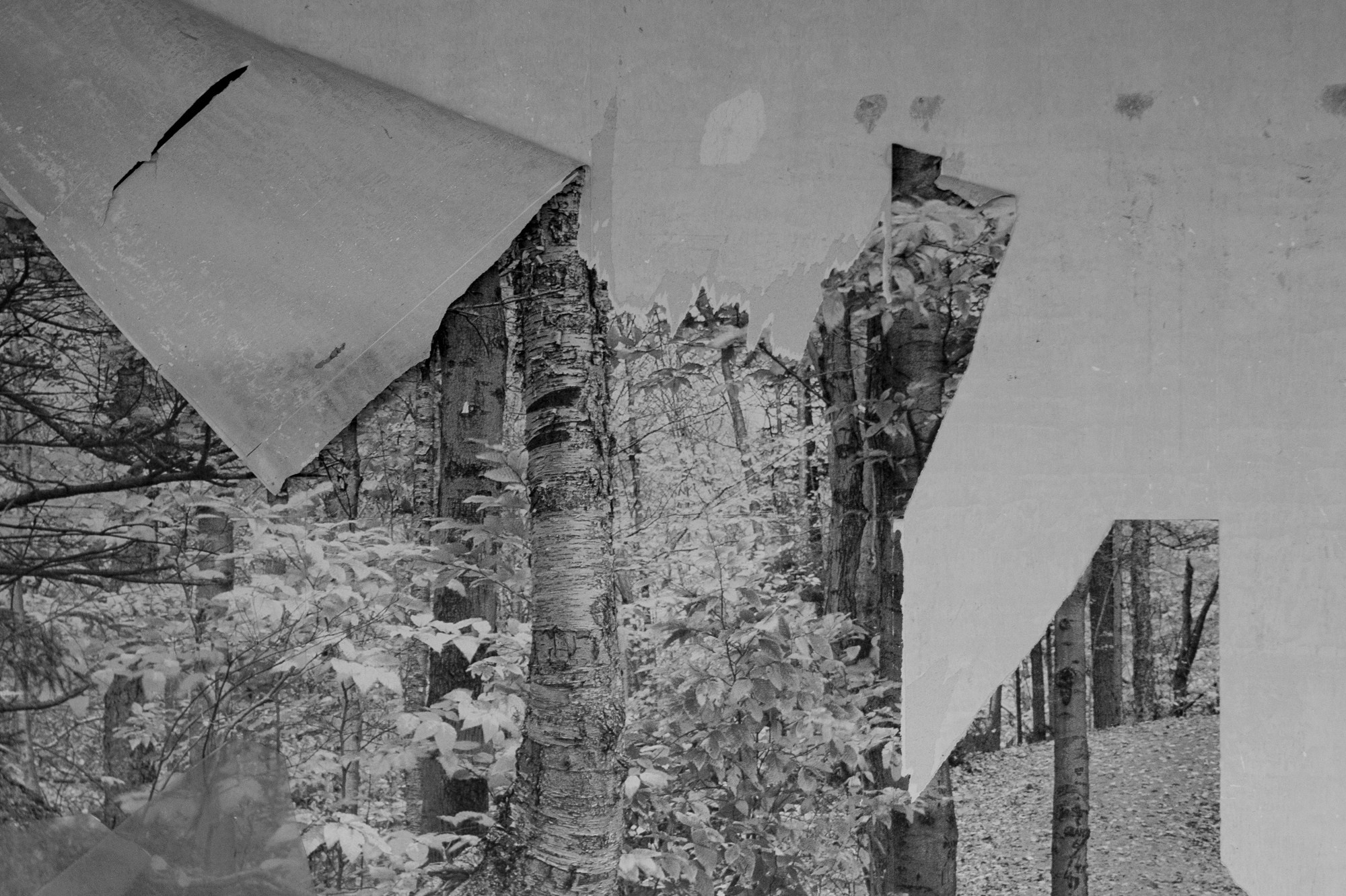 WAITING HALL. Alexander Malchenko