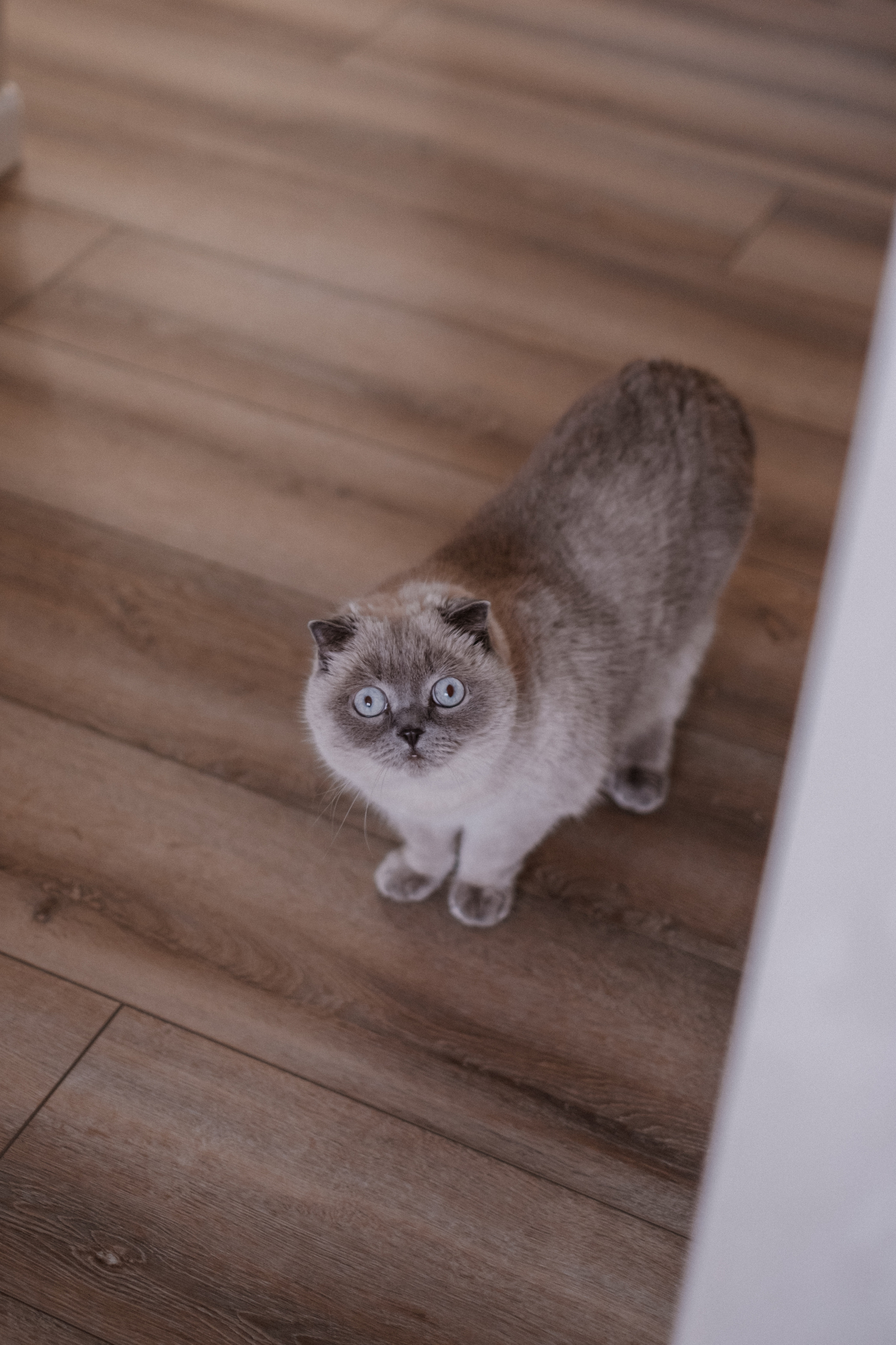 Домашняя фотосессия Даша + Ваня + Маша. Свадебный и семейный фотограф г. Волгоград Биленко Ангелина