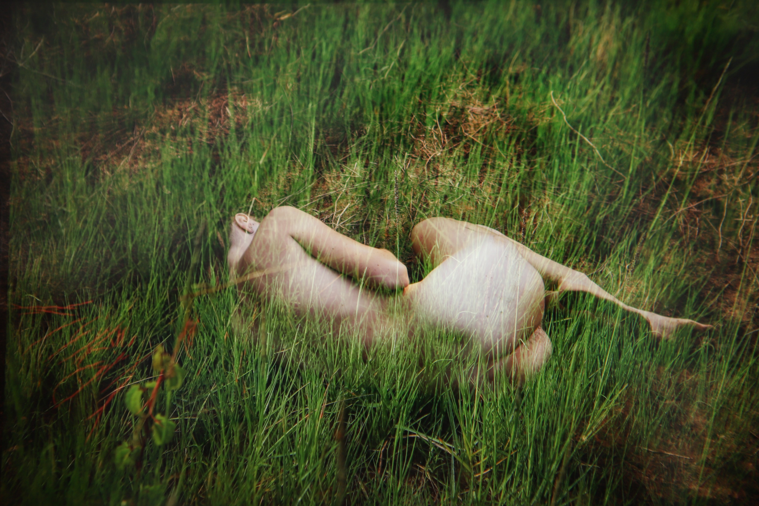 «Раствориться»  О том, как сдаться жизни, перестать бороться и стать её частью.