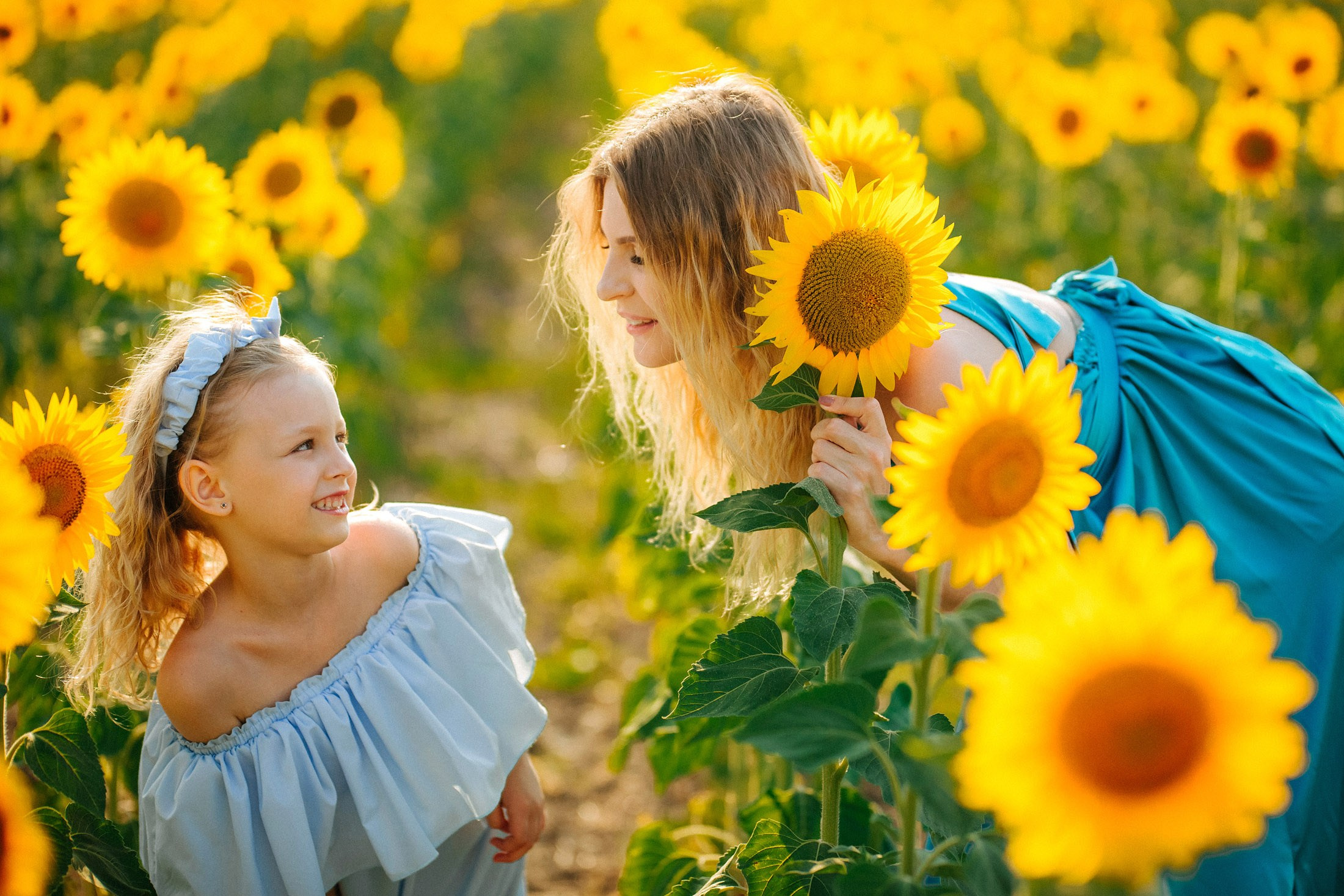 Подсолнухи!. Семейный, детский, свадебный, фотограф в городе Анапа
