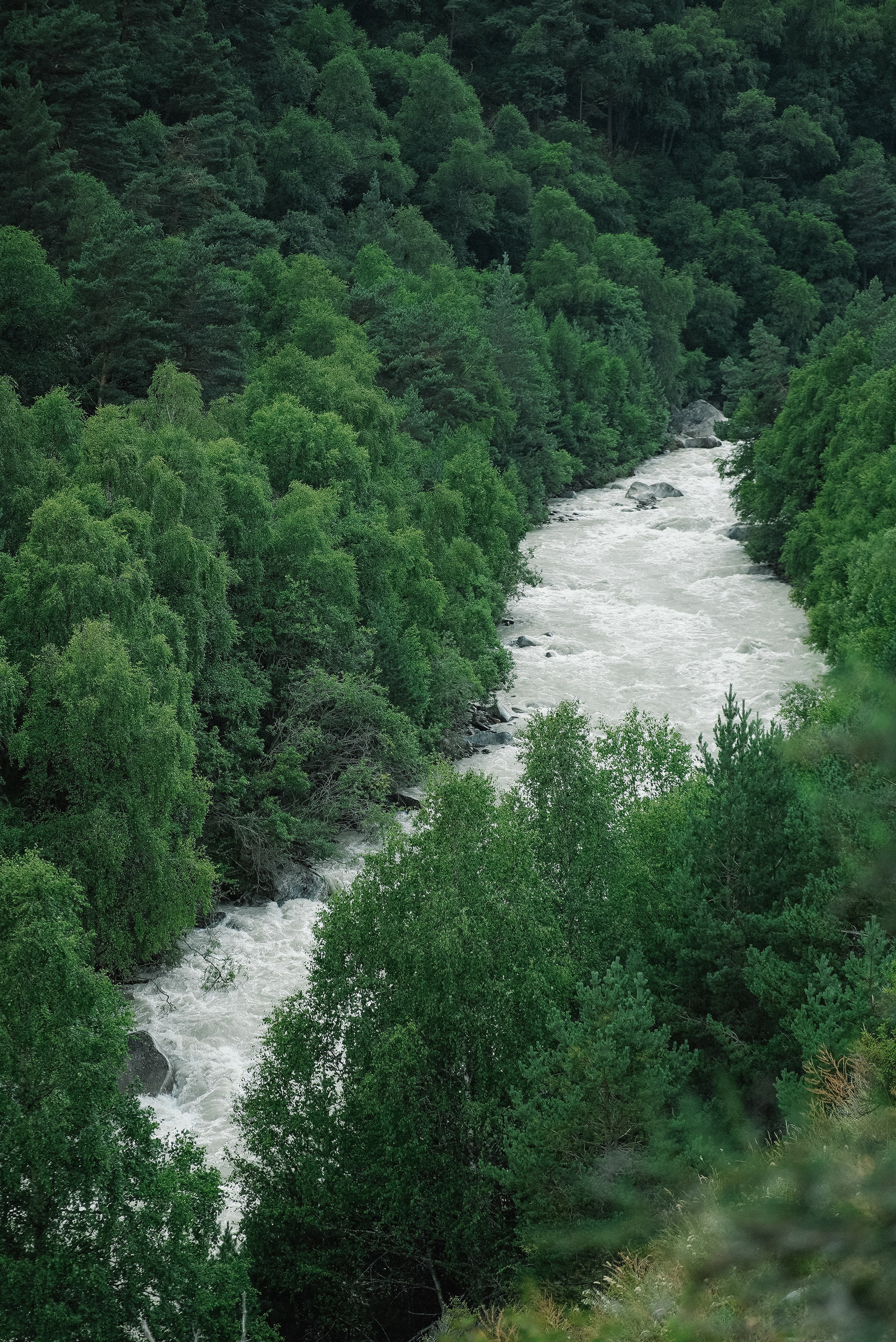 Кабардино-Балкария ✽ Август. Репортажный фотограф | Роза Хутор Красная Поляна Сочи Сириус