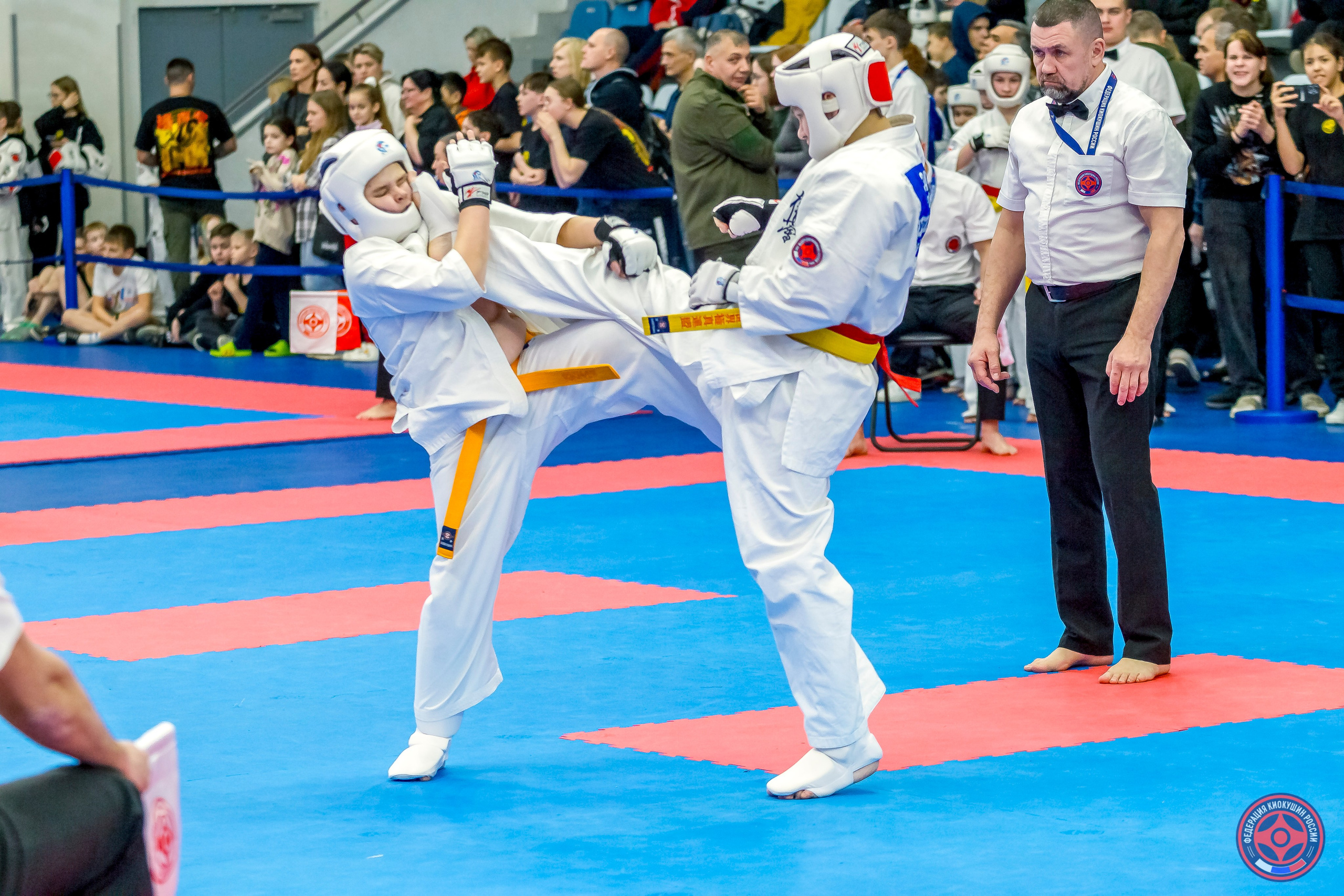 Международный турнир по киокушин «Открытый кубок Seiken». Репортажная съемка в Москве и области. Анималистика