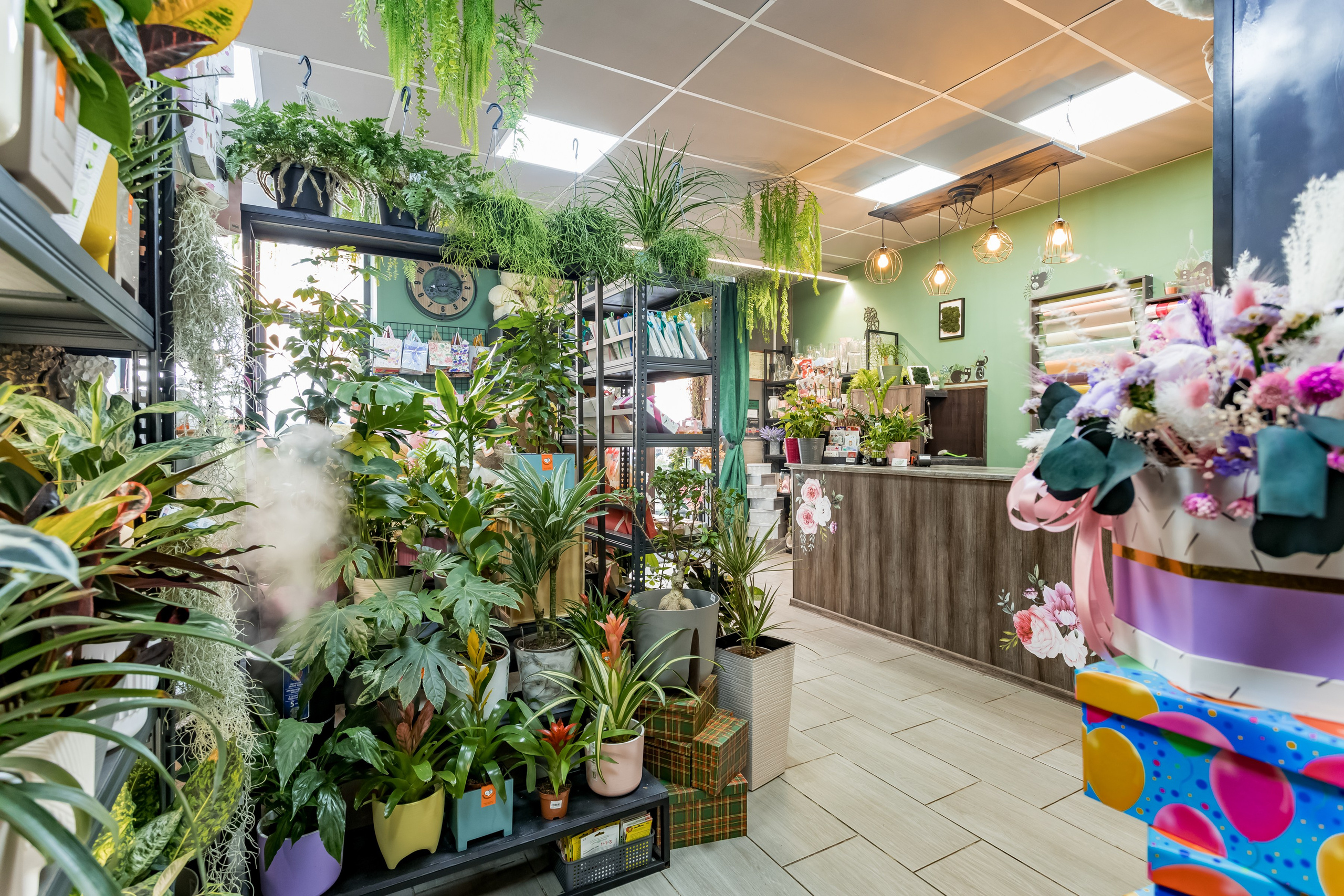 Цветочный магазин Any Flowers. Интерьеры, Контент, Портреты | Фотограф в Москве Дани Терно