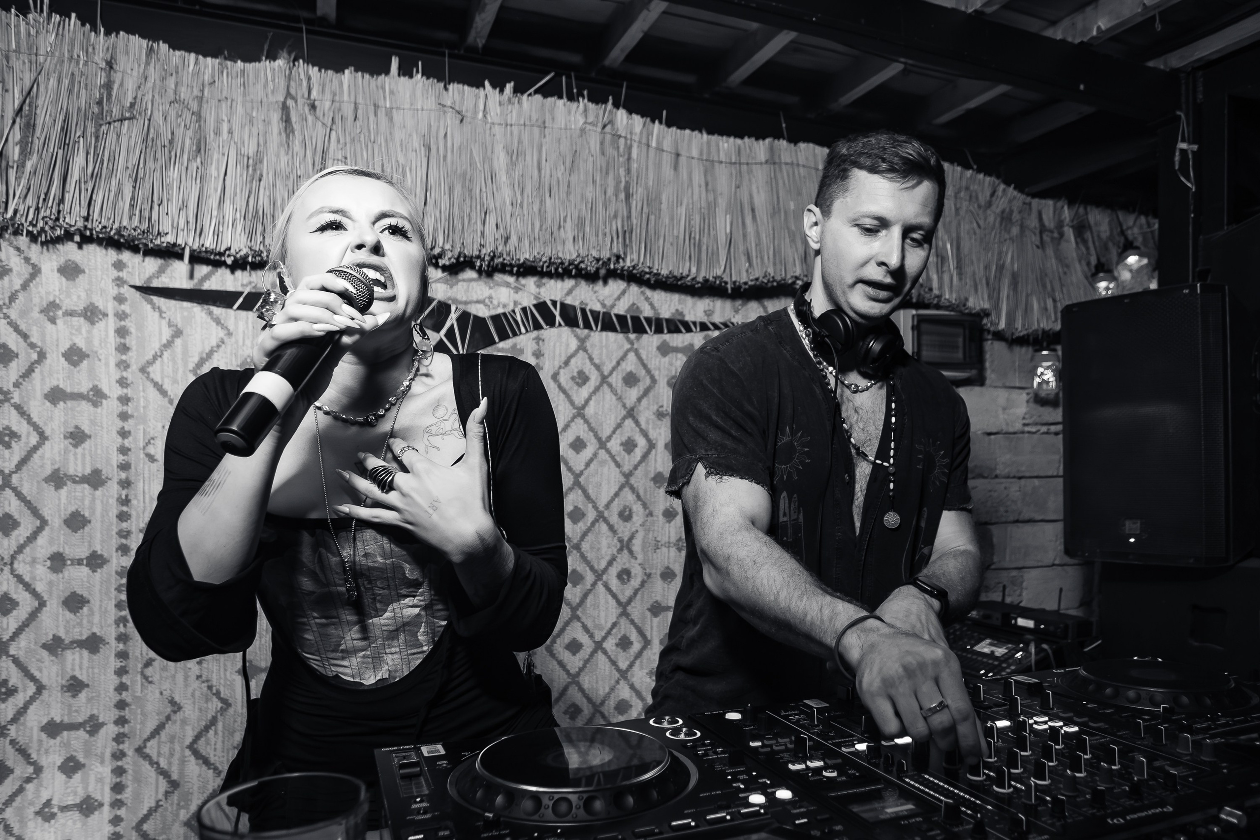 «КРАВЦ"_Чайка на пляже_Ялта_27.08.2025 г. Аминов Руслан | Фотограф