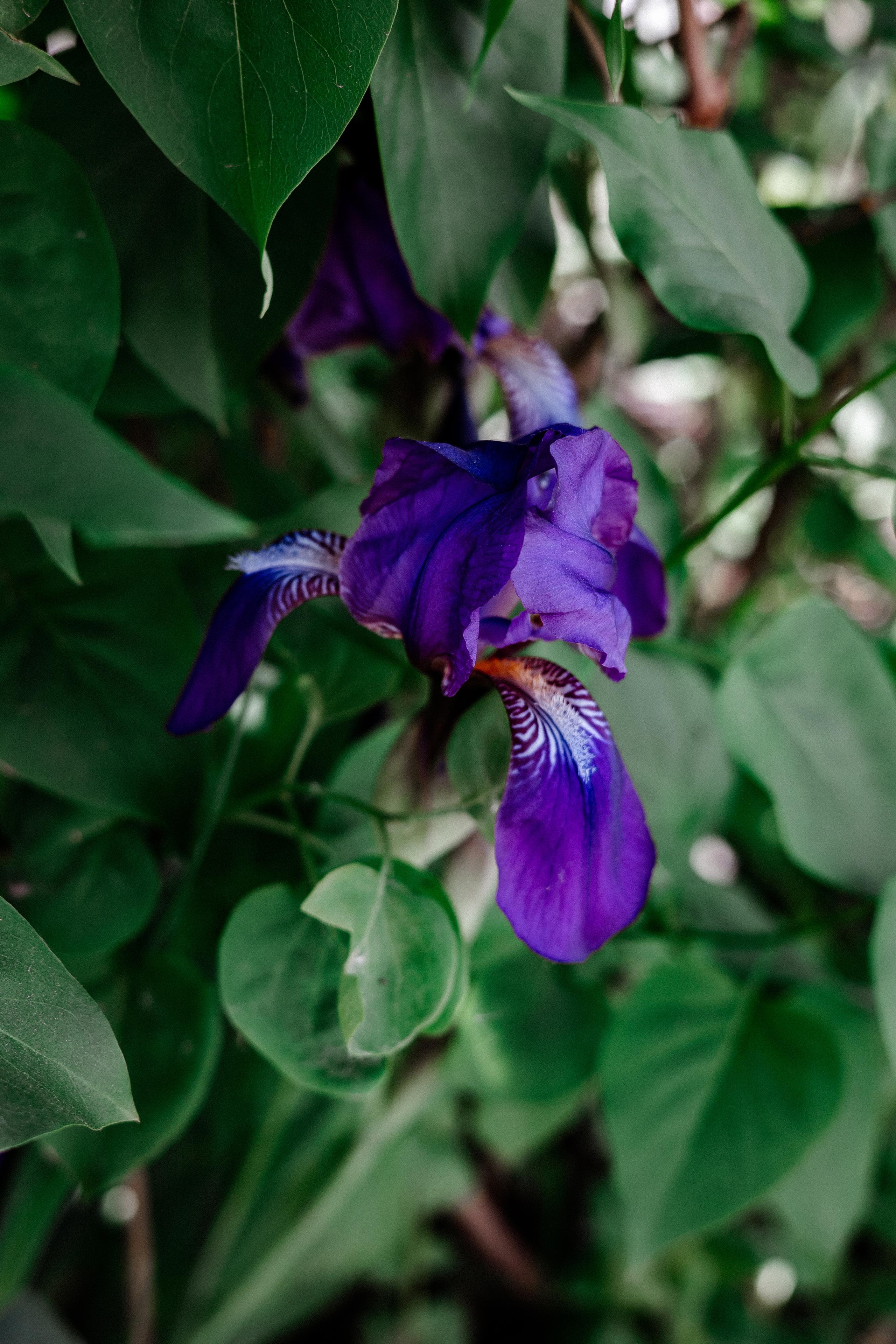 Галич. Photographer Sonkina Tatiana (Tanya Ash)