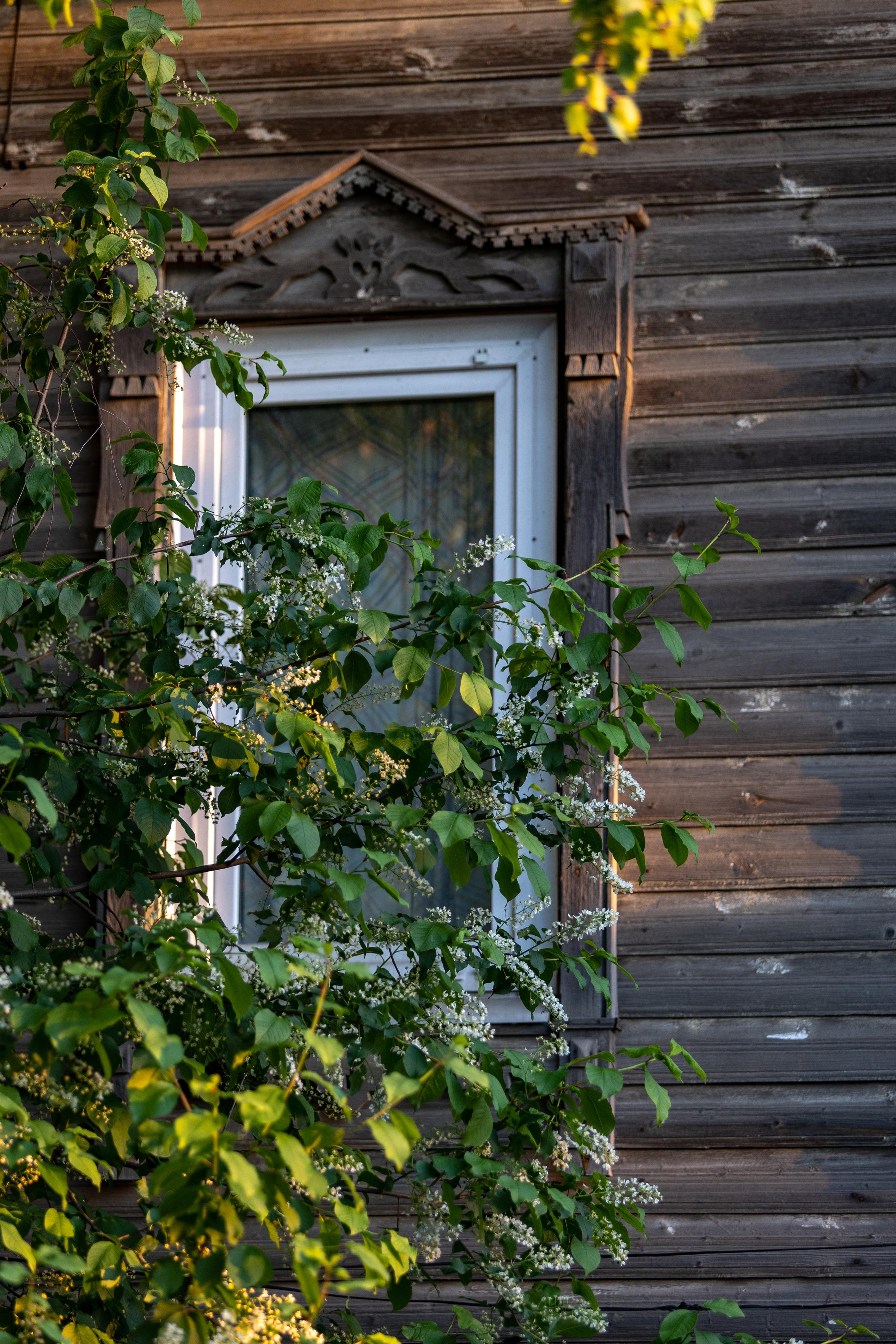 Галич. Photographer Sonkina Tatiana (Tanya Ash)