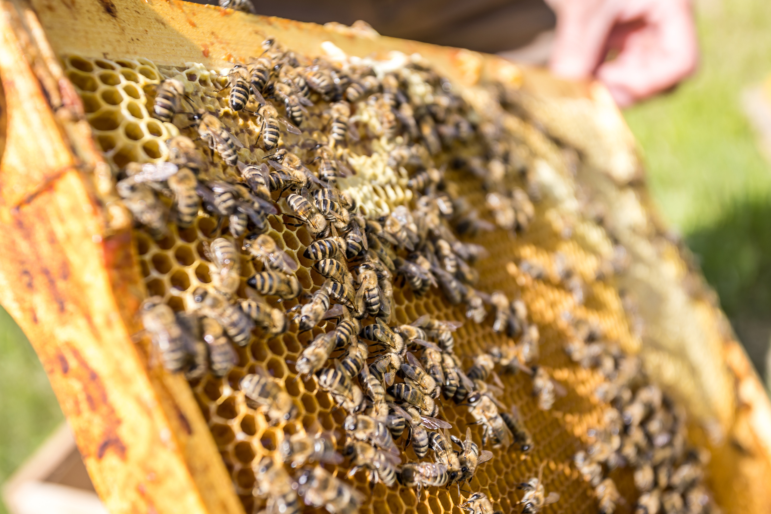 Д. Малое Молочное. Photographer Sonkina Tatiana (Tanya Ash)