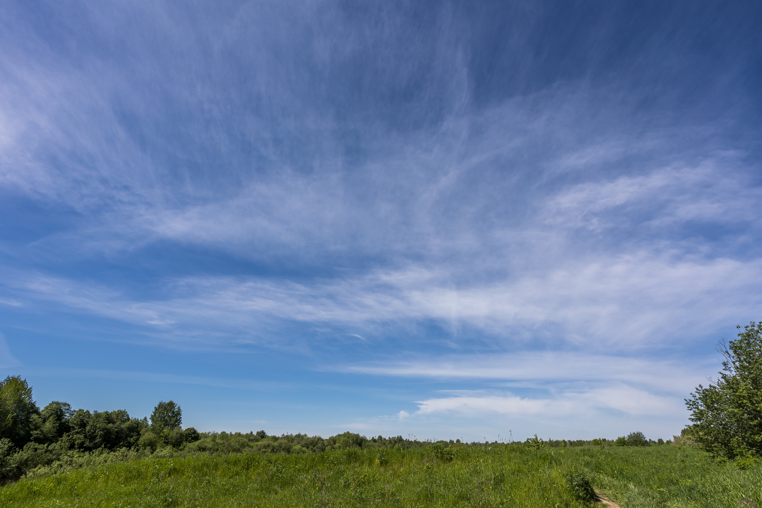 Д. Малое Молочное. Photographer Sonkina Tatiana (Tanya Ash)