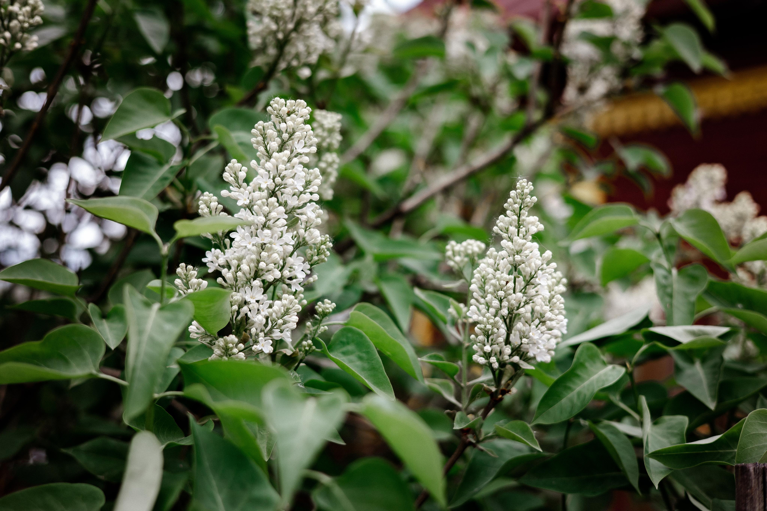 Галич. Photographer Sonkina Tatiana (Tanya Ash)