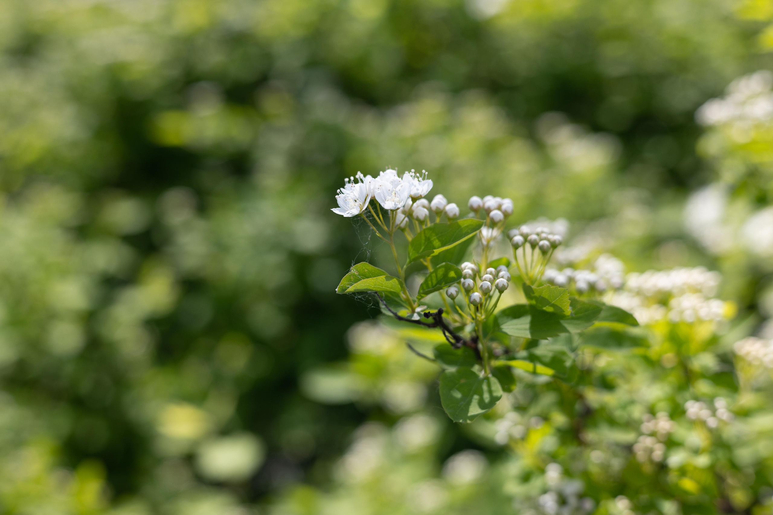 Галич. Photographer Sonkina Tatiana (Tanya Ash)