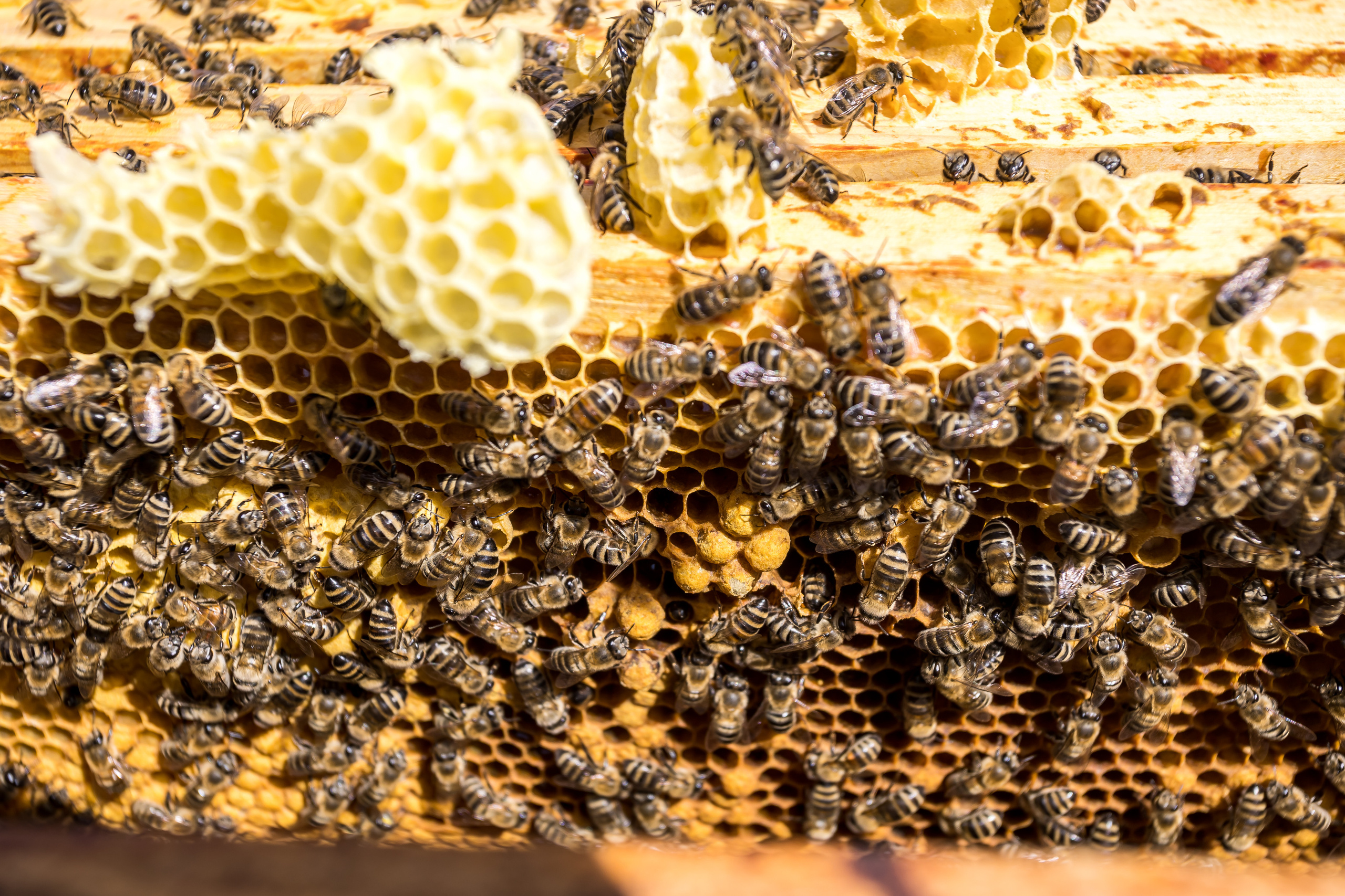 Д. Малое Молочное. Photographer Sonkina Tatiana (Tanya Ash)