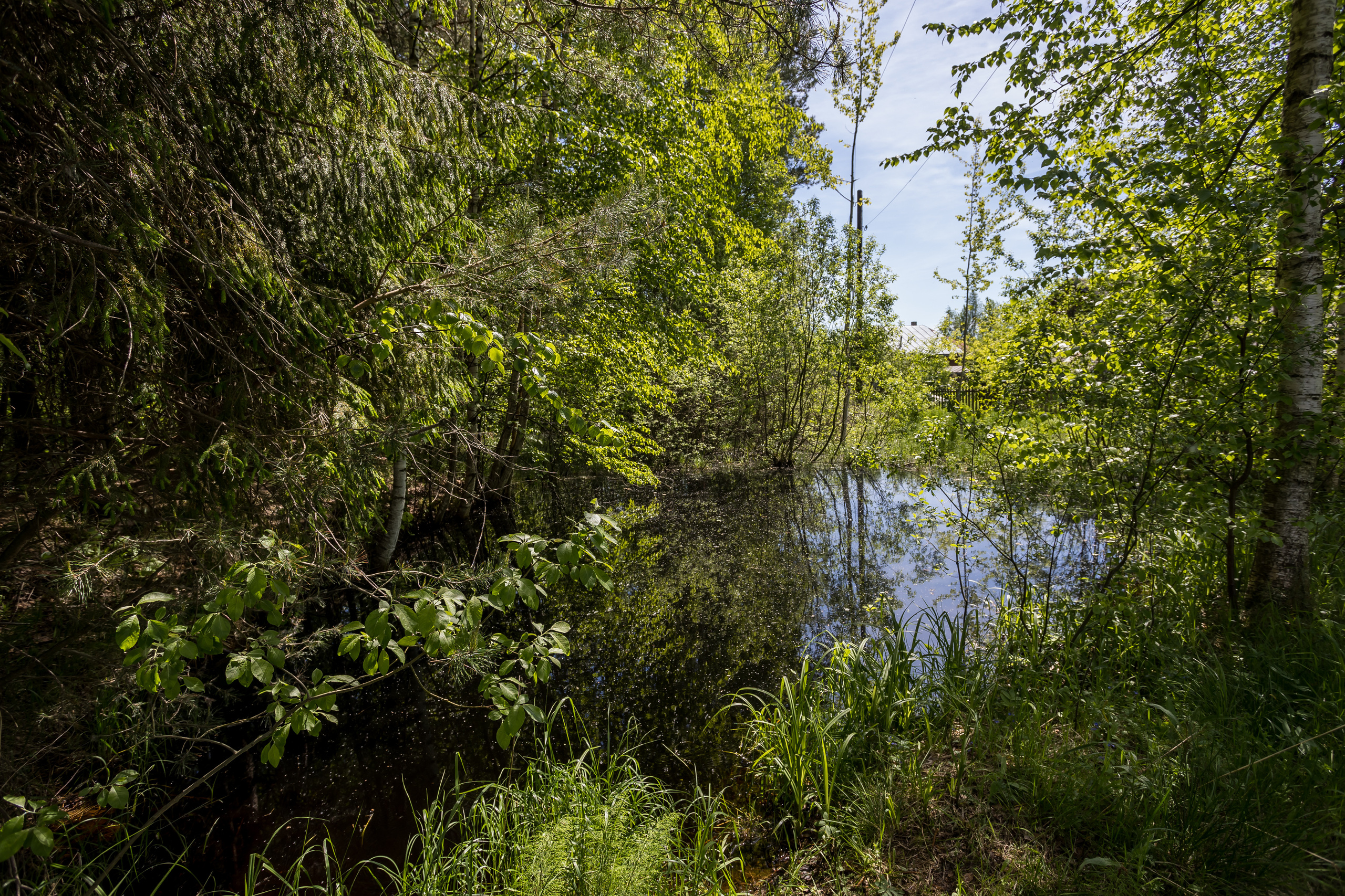Д. Малое Молочное. Photographer Sonkina Tatiana (Tanya Ash)