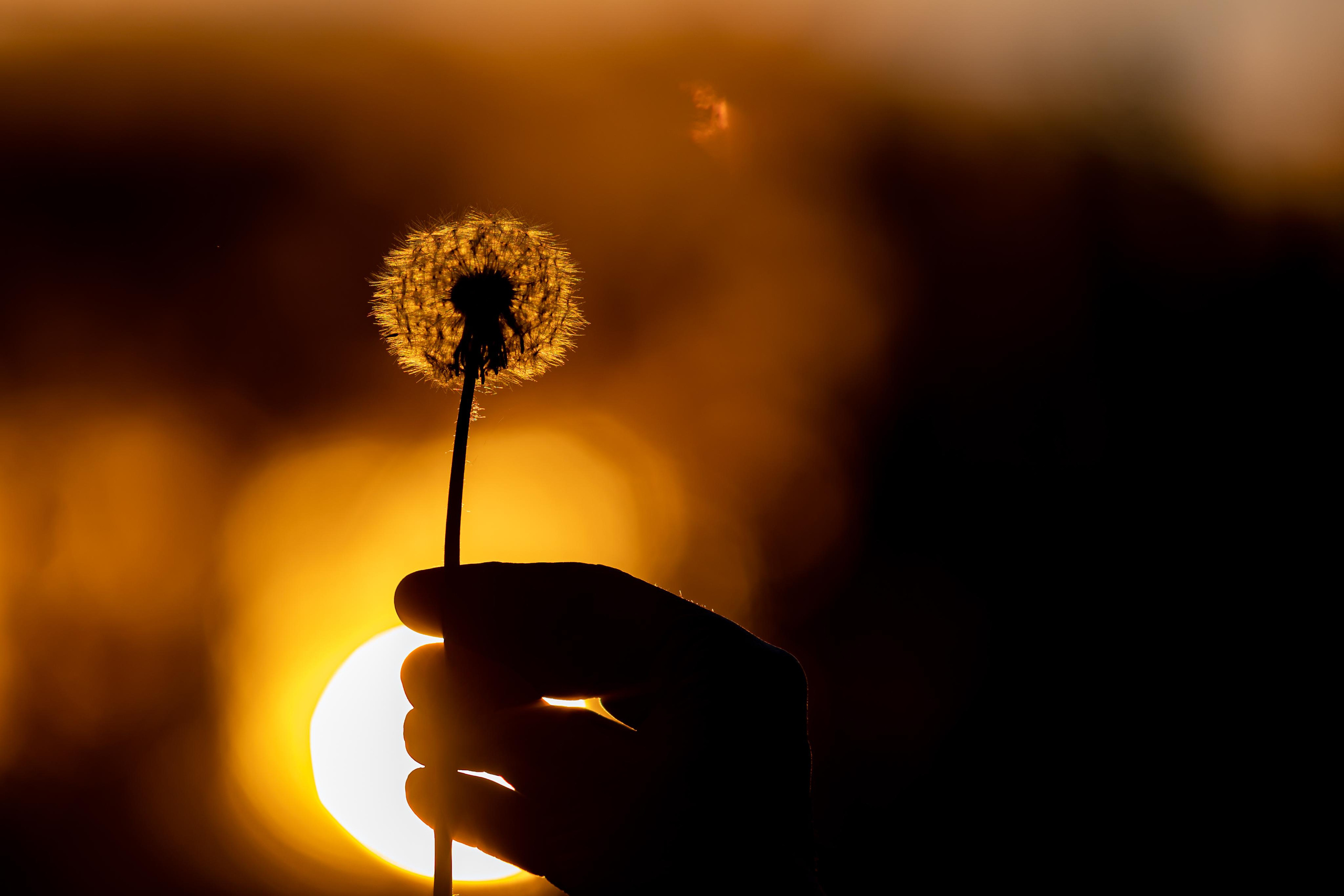 Галич. Photographer Sonkina Tatiana (Tanya Ash)