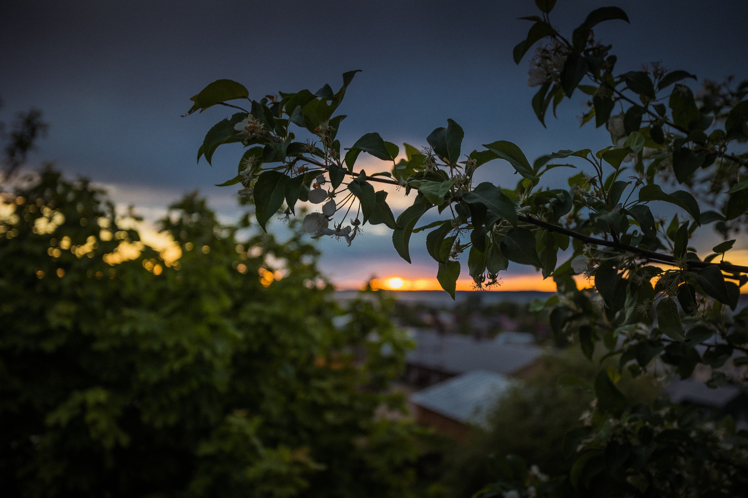 Галич. Photographer Sonkina Tatiana (Tanya Ash)