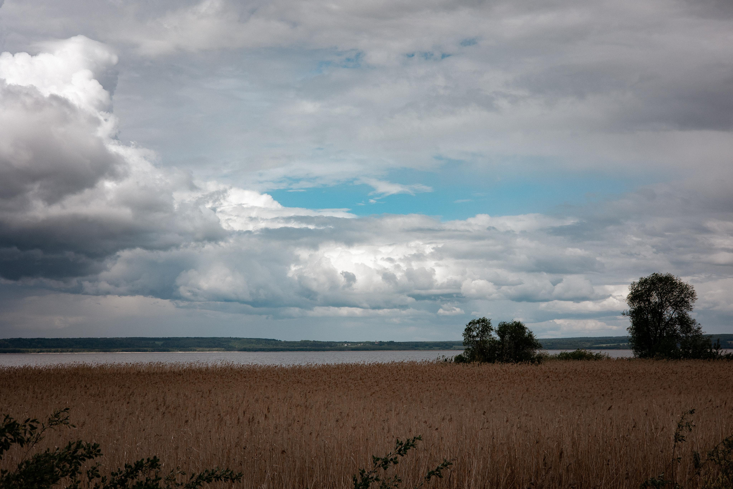 Галич. Photographer Sonkina Tatiana (Tanya Ash)