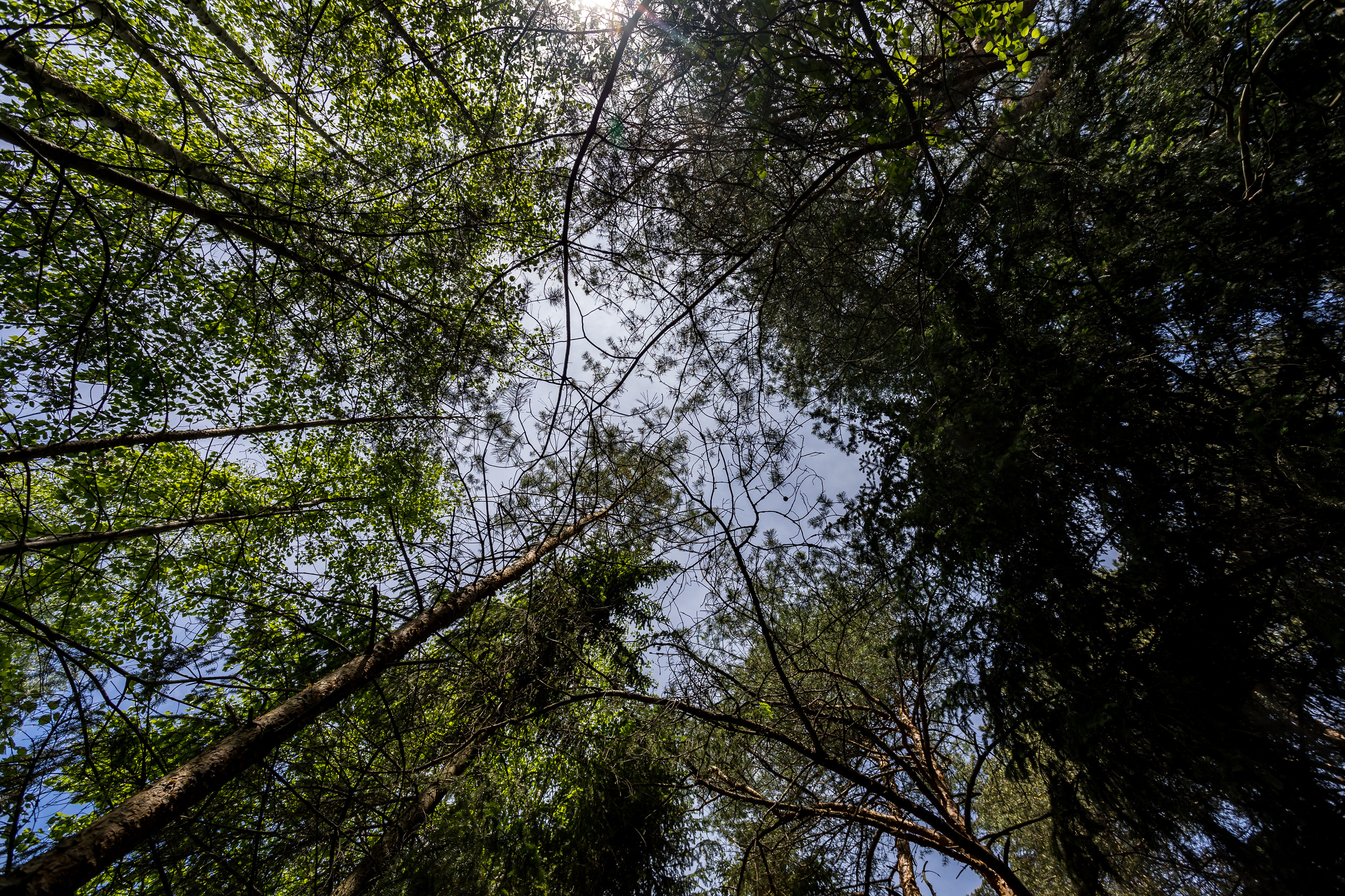 Д. Малое Молочное. Photographer Sonkina Tatiana (Tanya Ash)