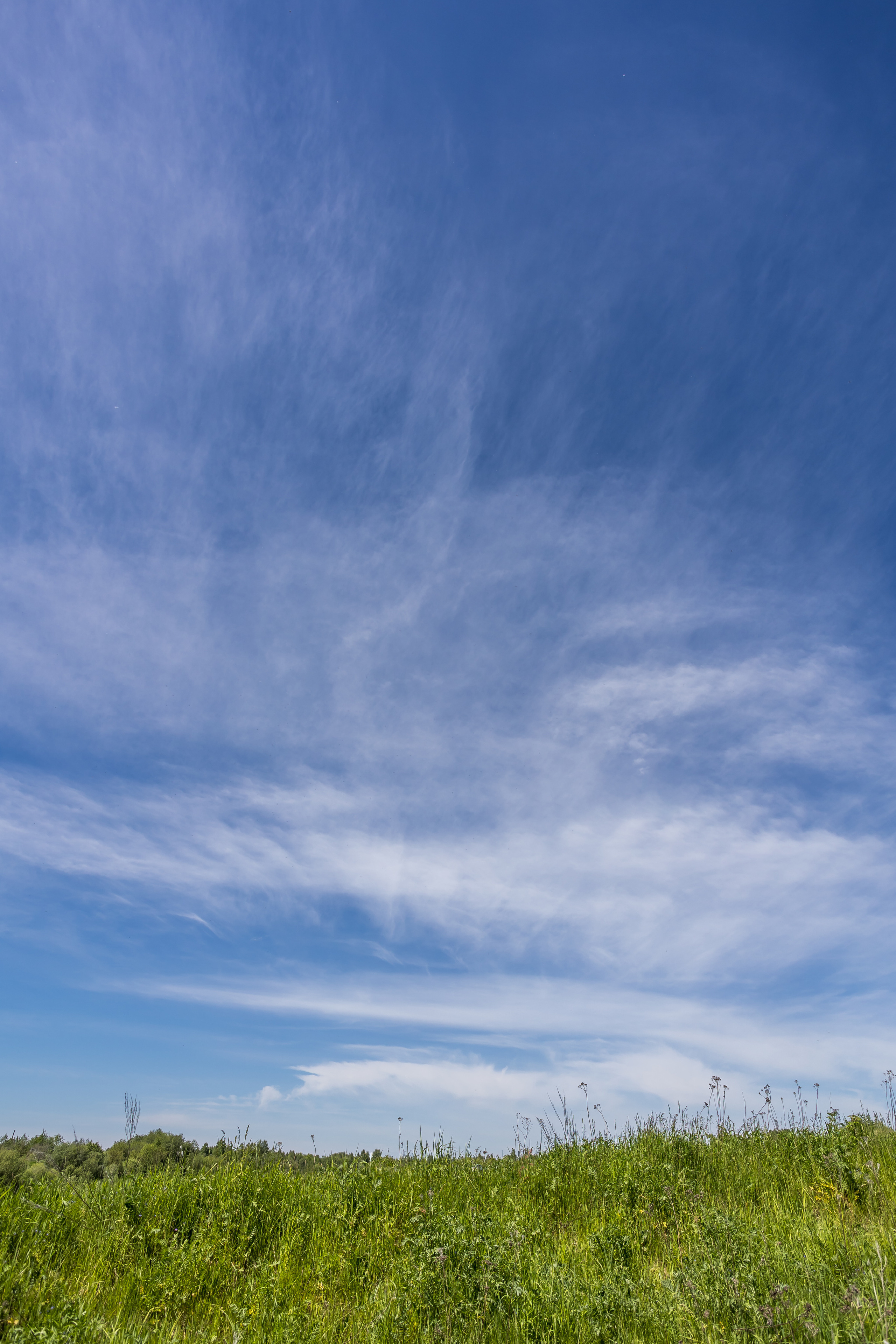 Д. Малое Молочное. Photographer Sonkina Tatiana (Tanya Ash)