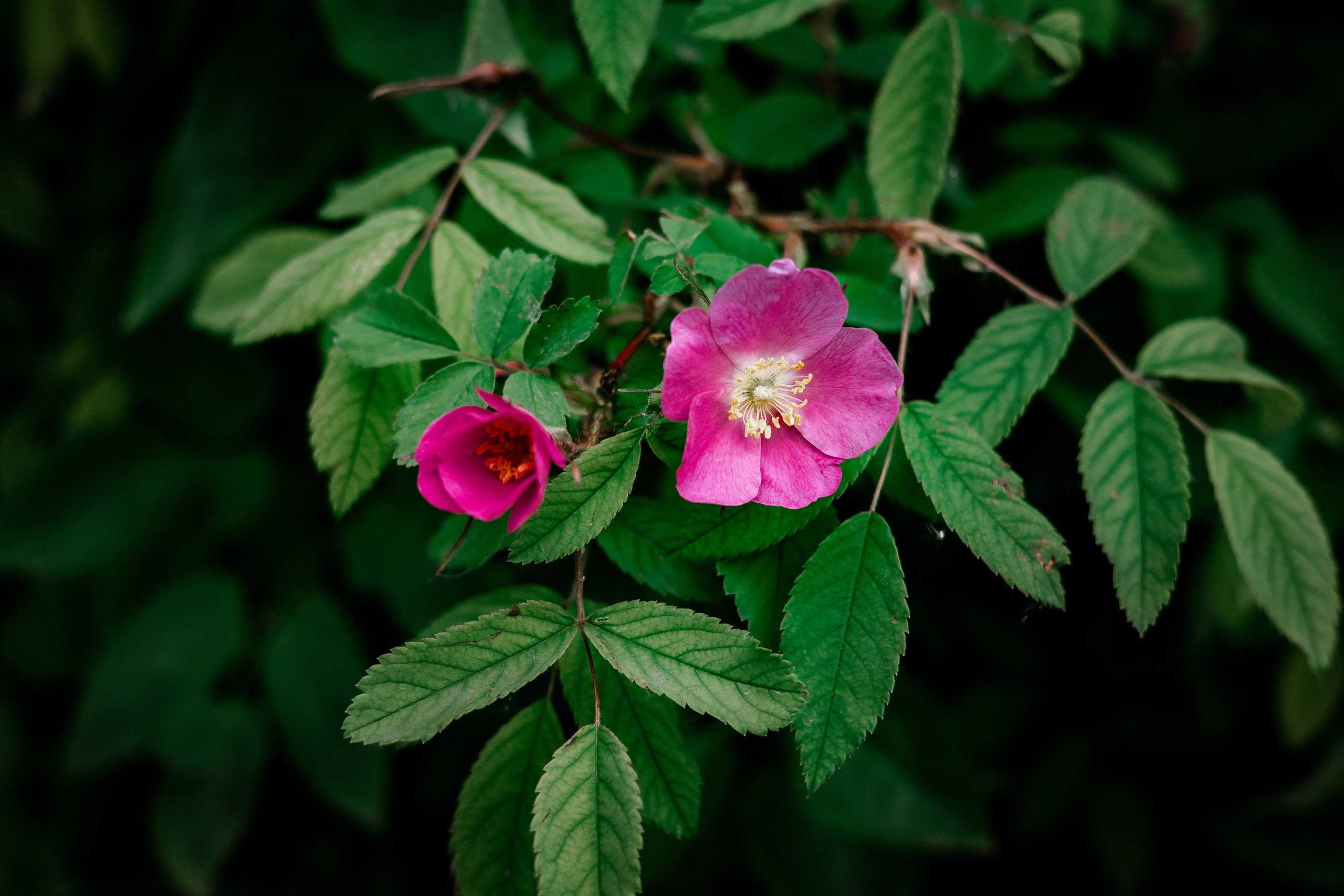 Галич. Photographer Sonkina Tatiana (Tanya Ash)