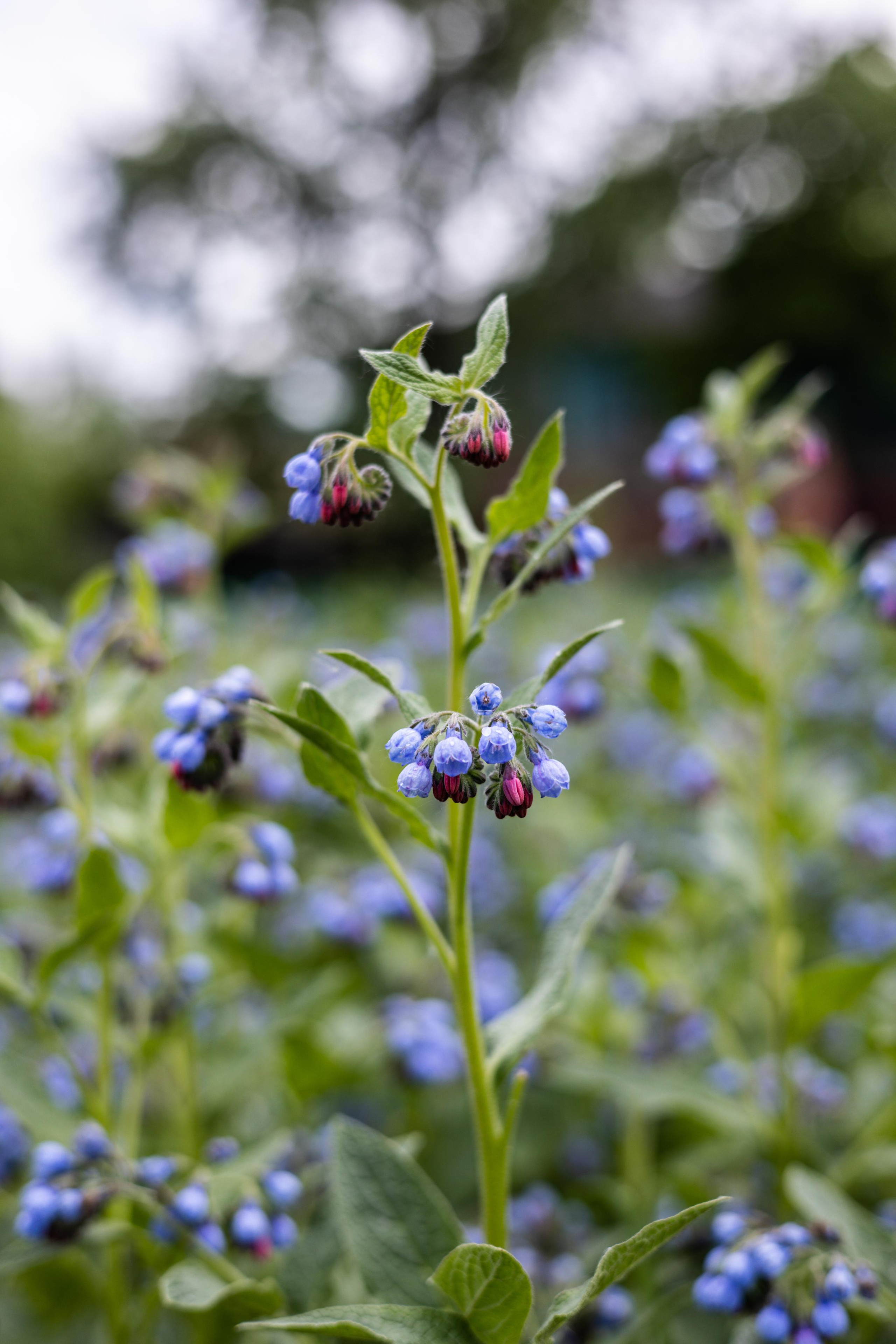 Галич. Photographer Sonkina Tatiana (Tanya Ash)