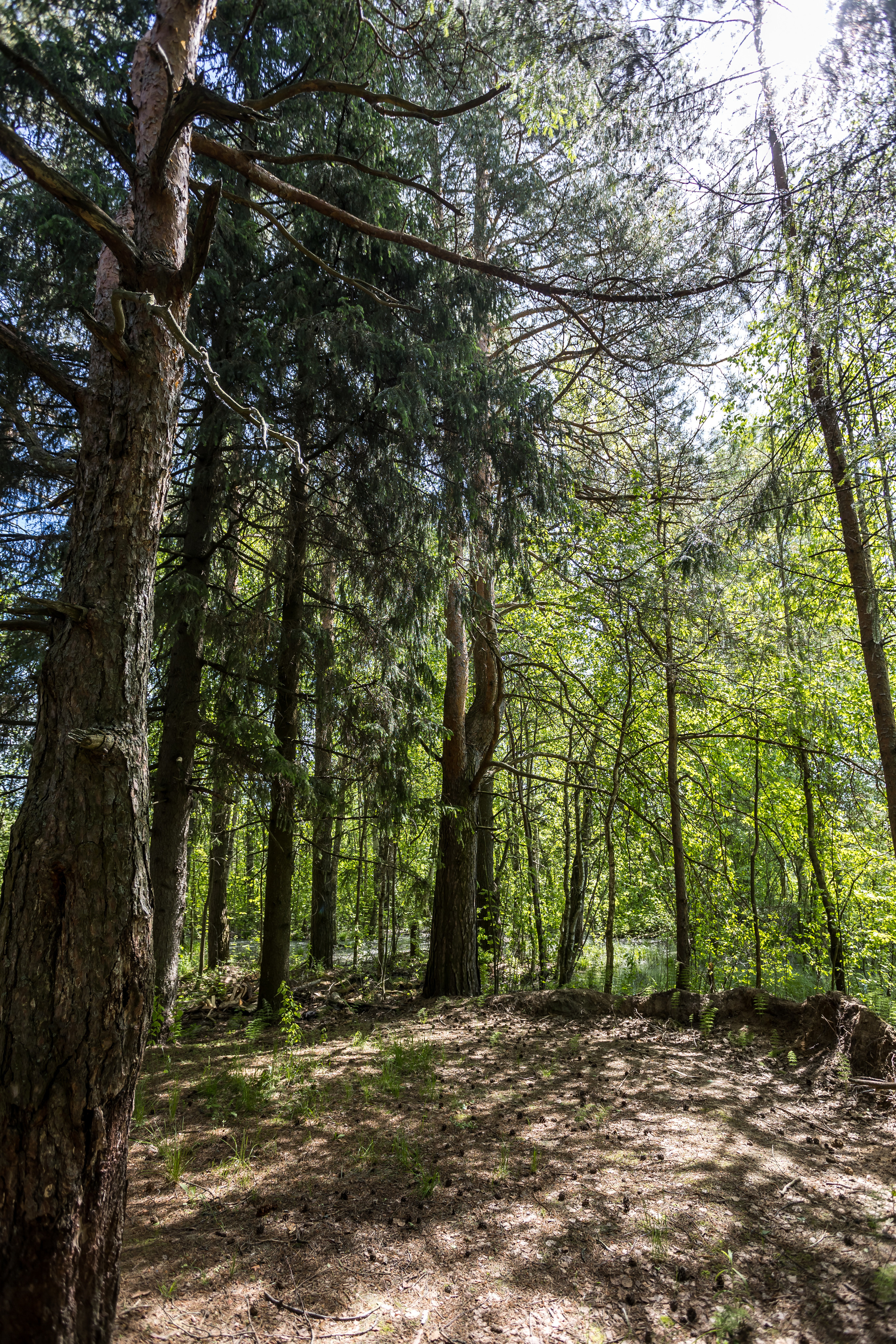 Д. Малое Молочное. Photographer Sonkina Tatiana (Tanya Ash)