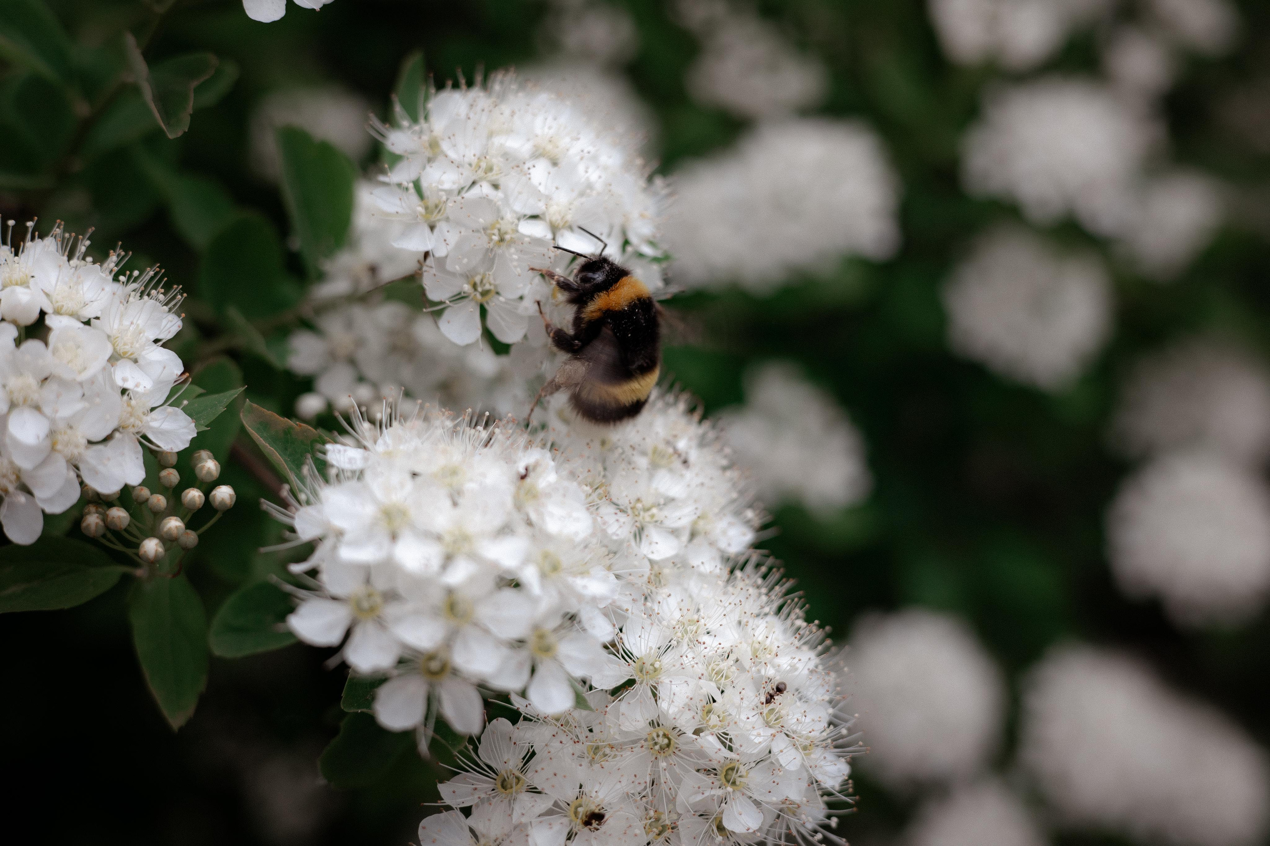Галич. Photographer Sonkina Tatiana (Tanya Ash)