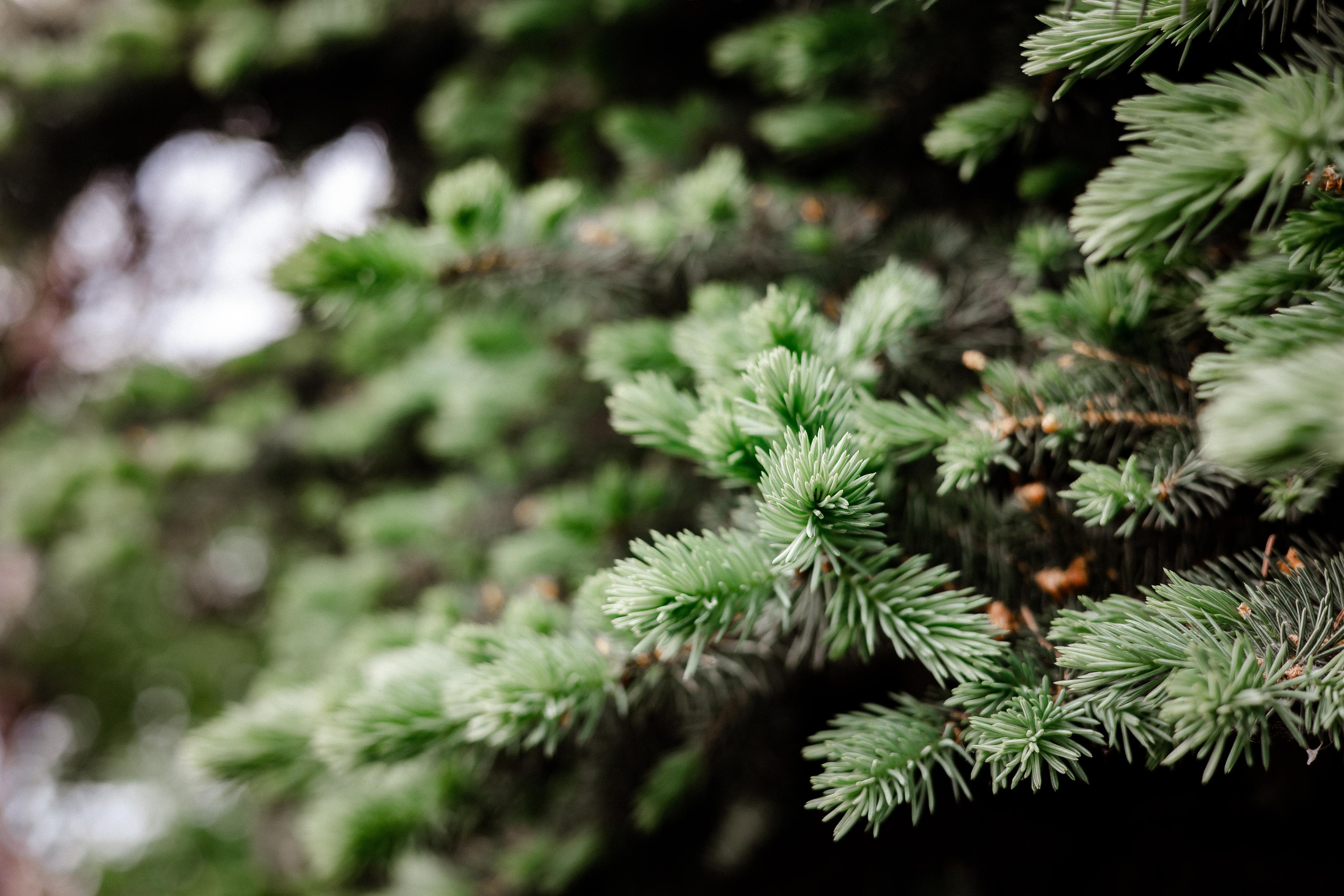 Галич. Photographer Sonkina Tatiana (Tanya Ash)