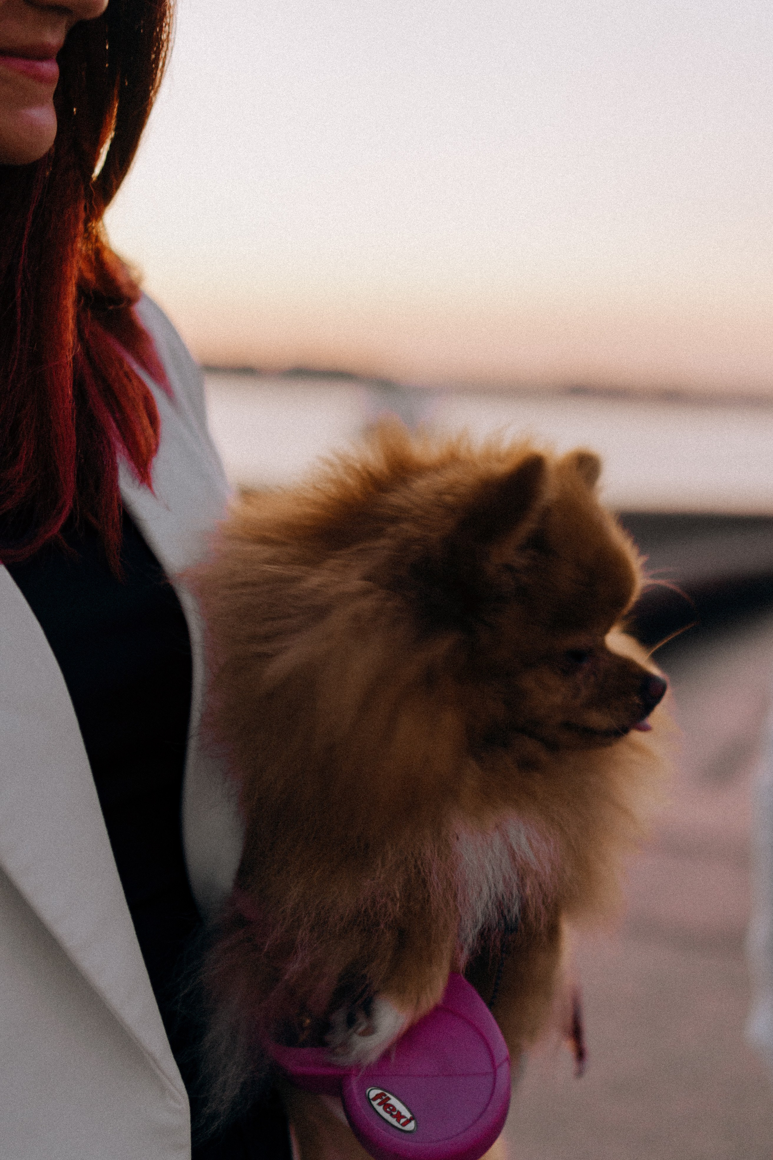 РАССВЕТНАЯ ИСТОРИЯ. Профессиональный фотограф, Санкт-Петербург — Виктория Богомолова