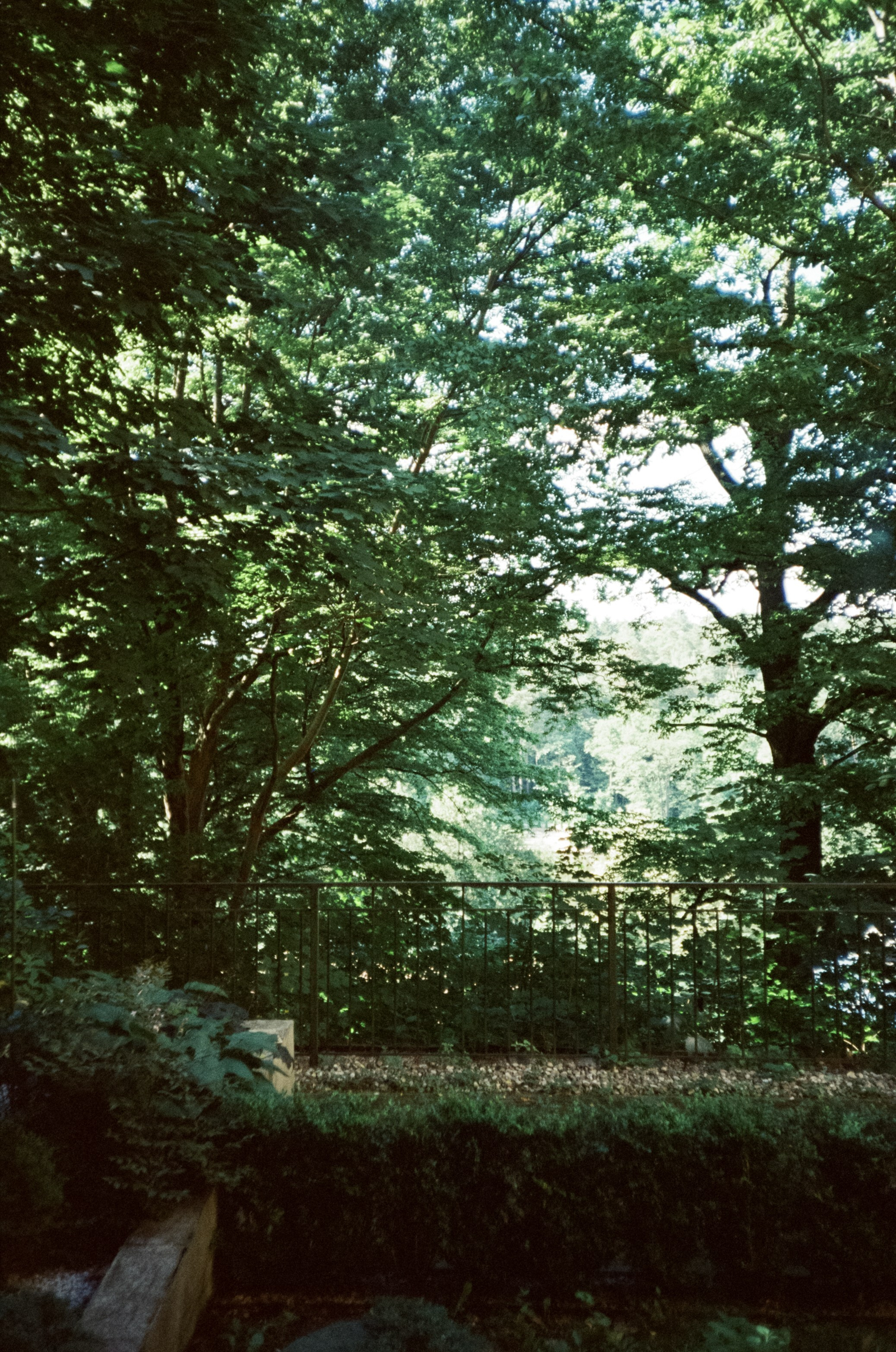 Прогулка по улочкам и дворикам Зеленорадска. Фотограф-документалист Мария Осокина