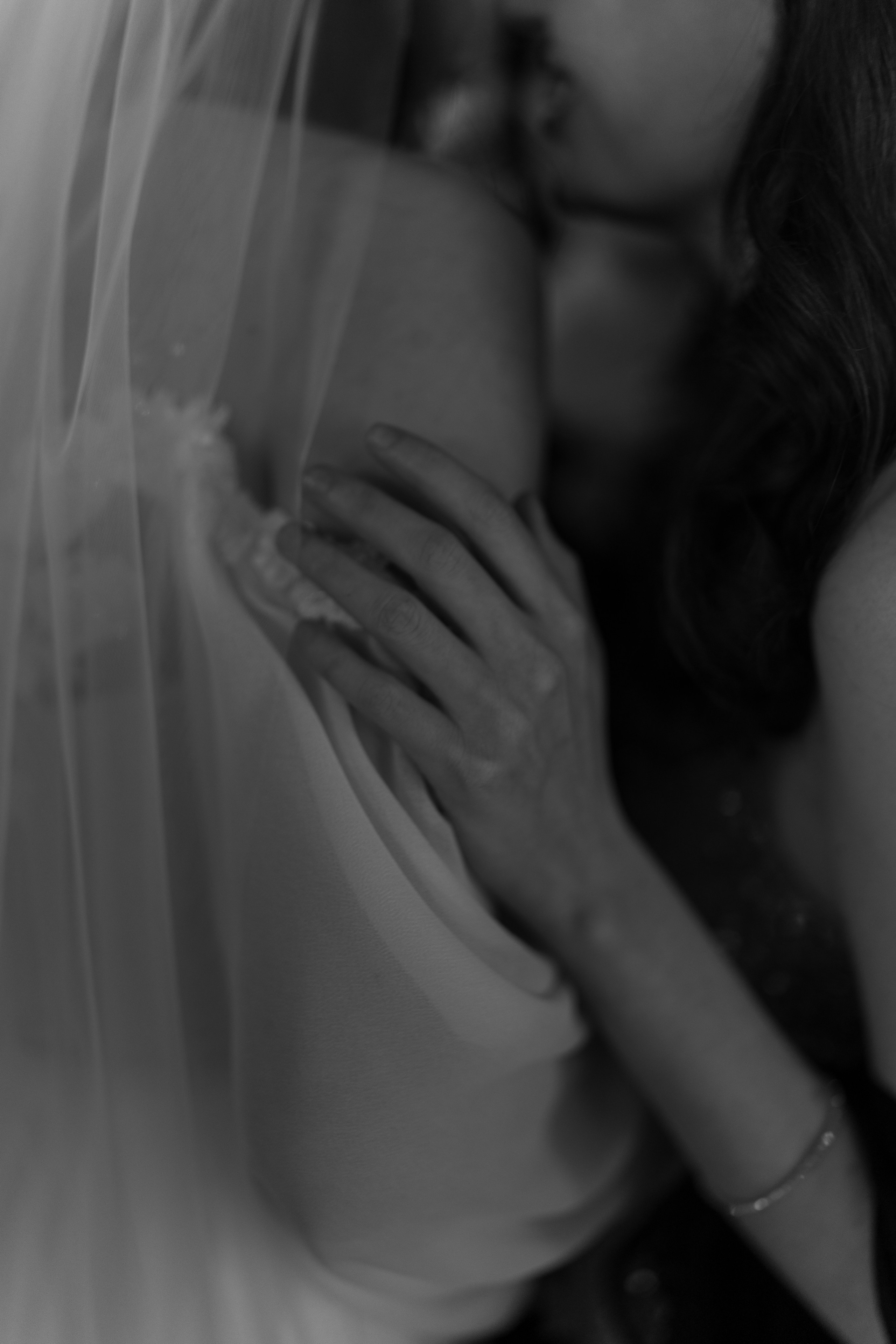 Красные розы. Главная