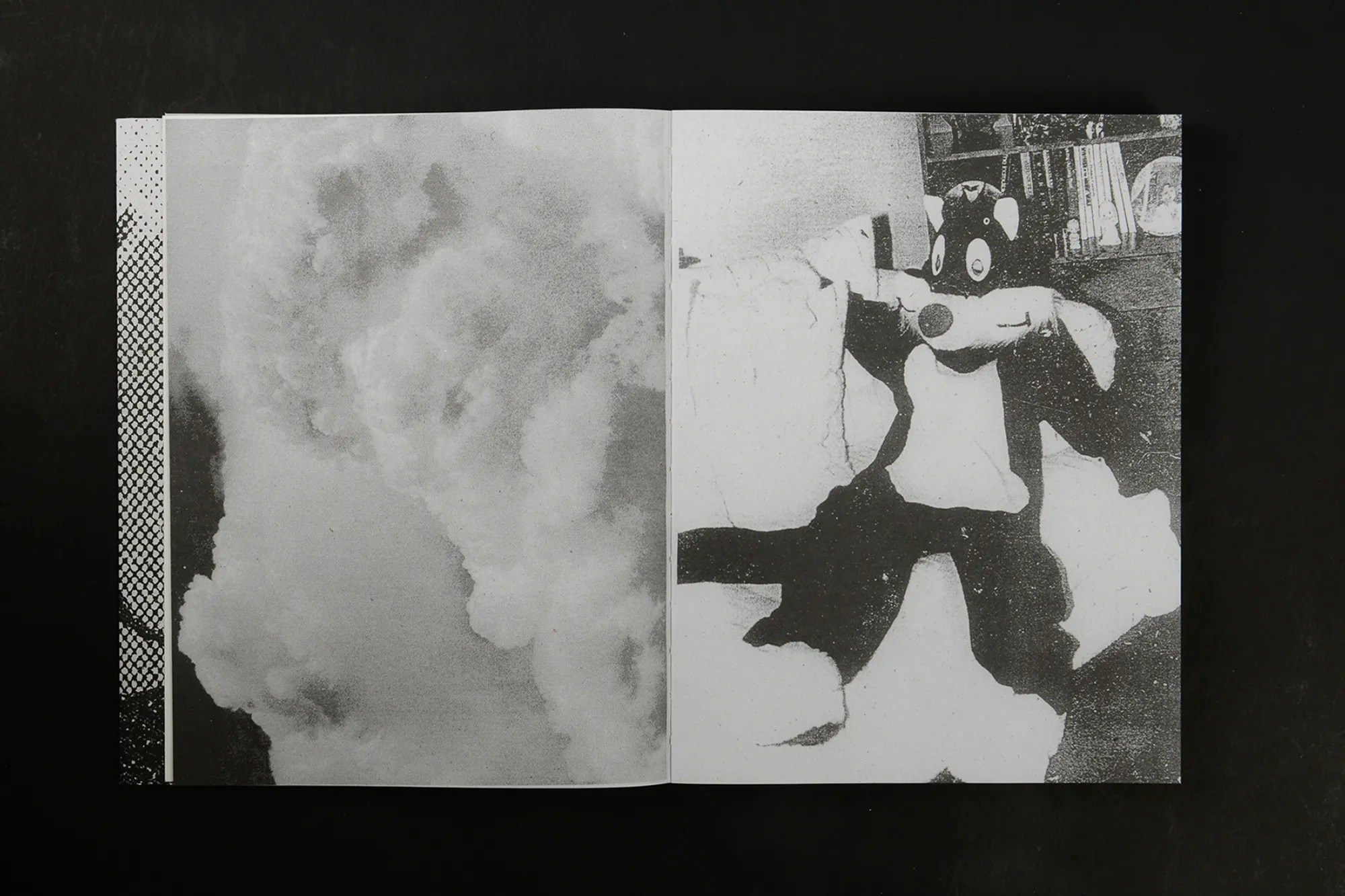 ПОПУЛЯРНЫЕ ОШИБКИ ПРИ СОЗДАНИИ ФОТОКНИГИ. Самоорганизация Низина