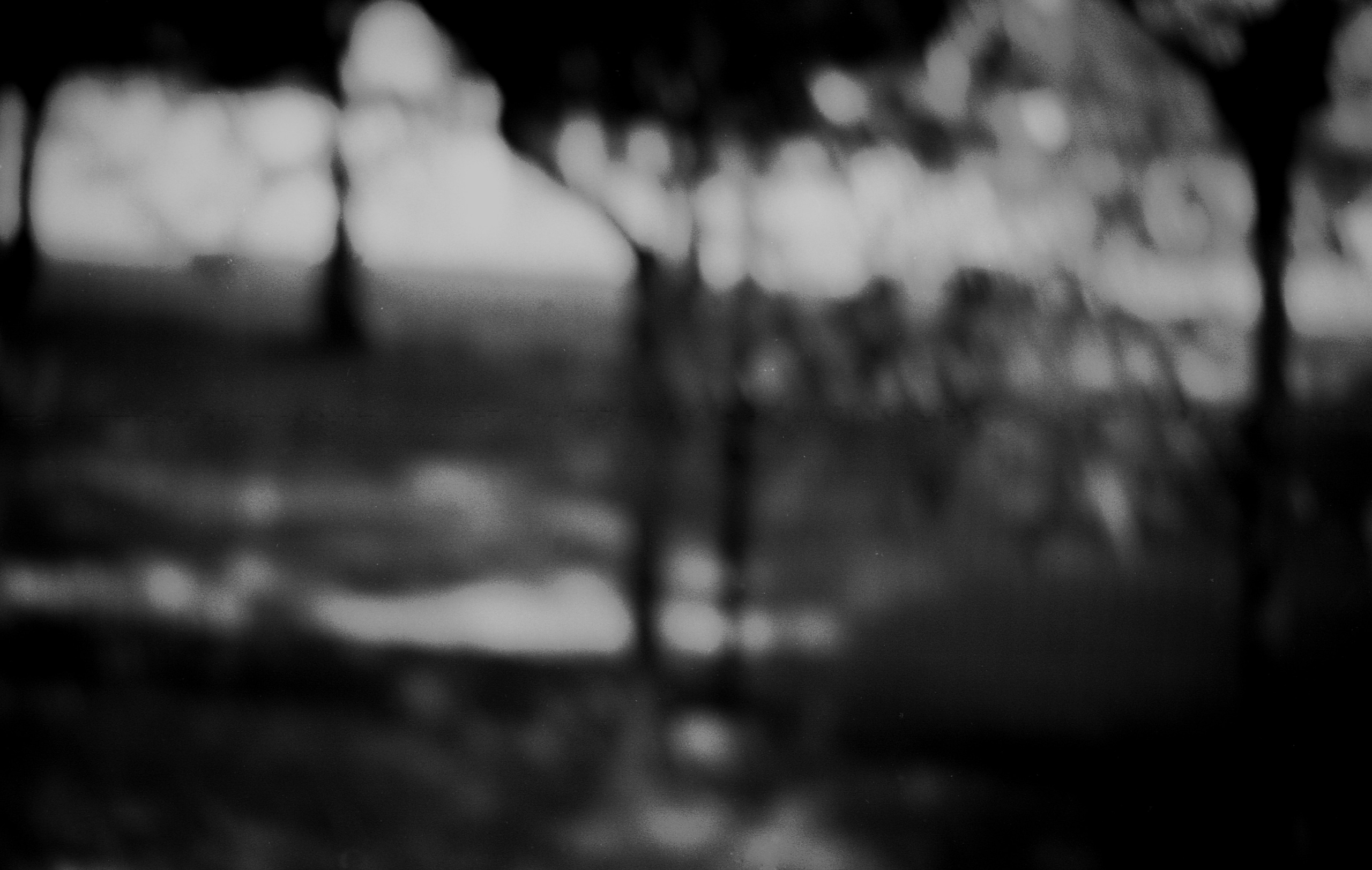 ИНТЕРВЬЮ С АВТОРАМИ: Ёсикацу Фудзии. Самоорганизация Низина