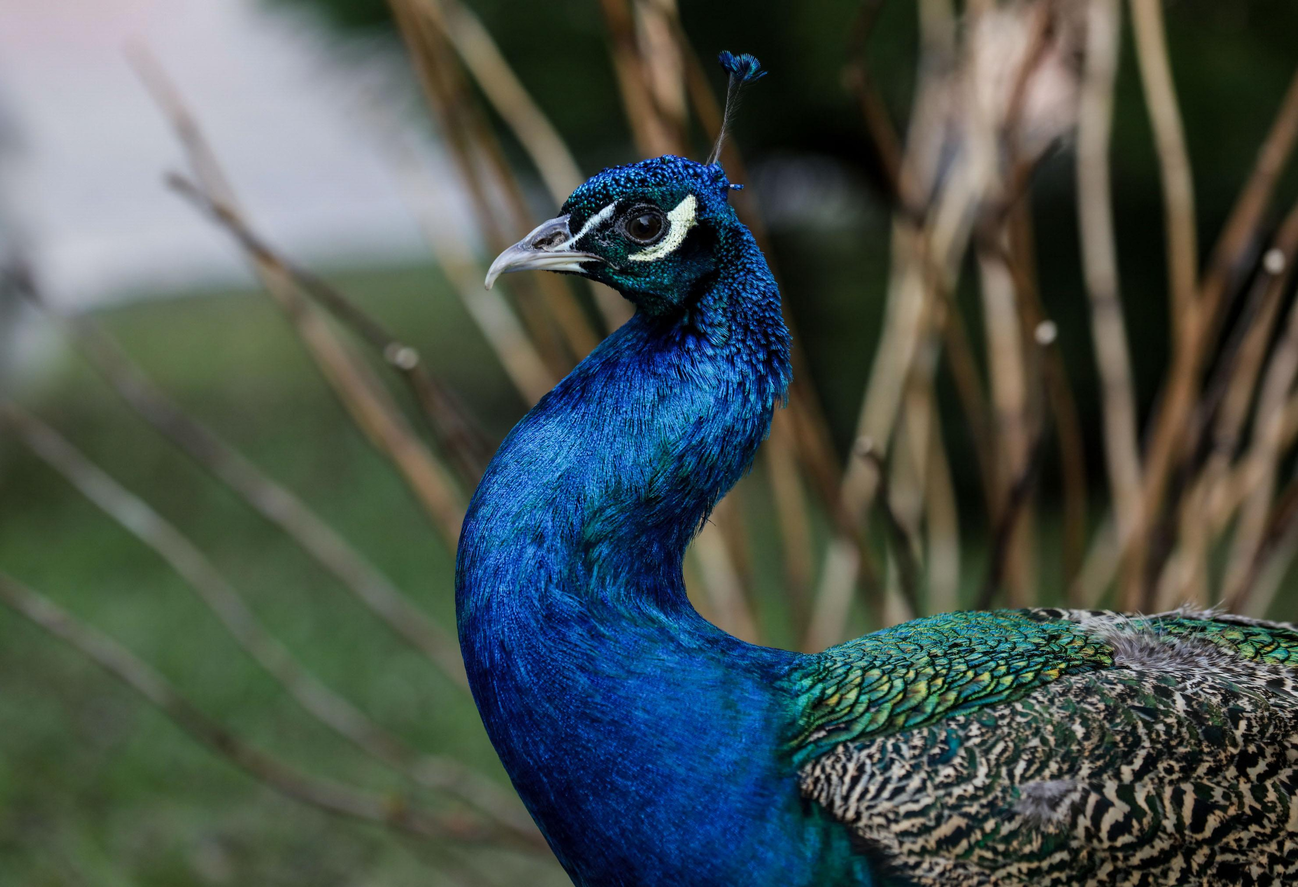 Юбилейная дата. Фотограф в Москве Юлия Майорова