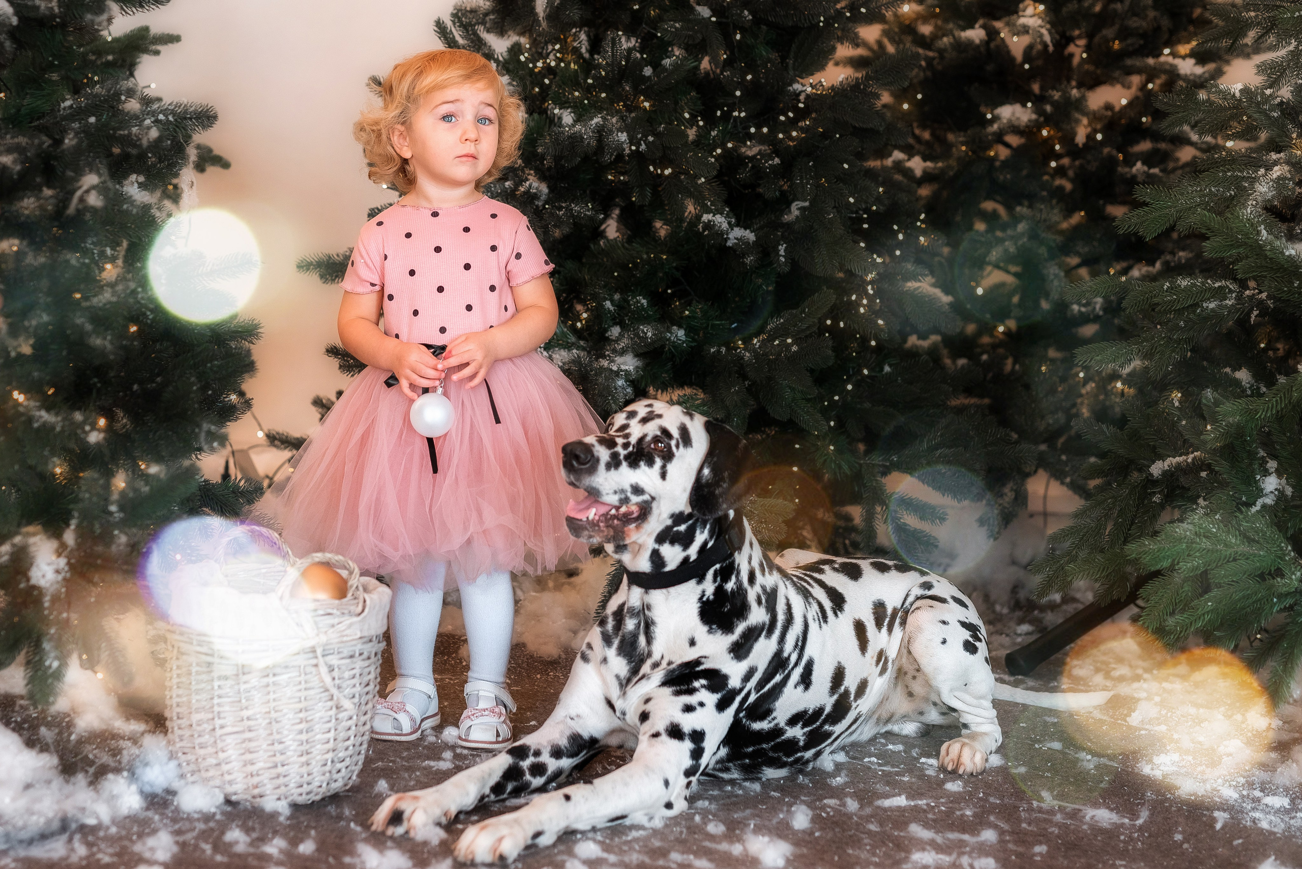 Фотосессия с далматинцем. Семейный, детский фотограф в Воронеже Анна Никитина