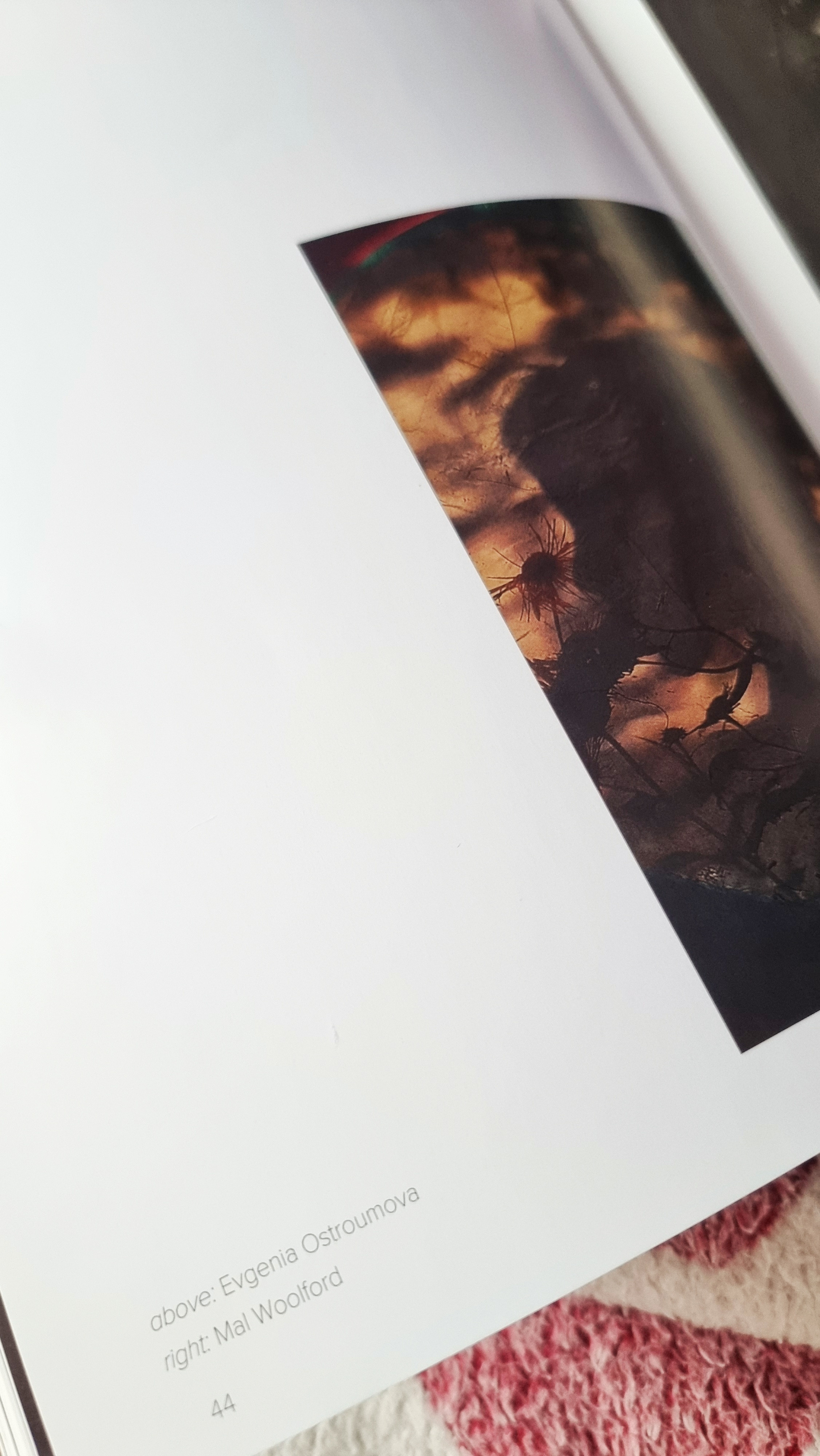 Публикации. Художественный фотограф. Фотосессии, Обучение, Ревью